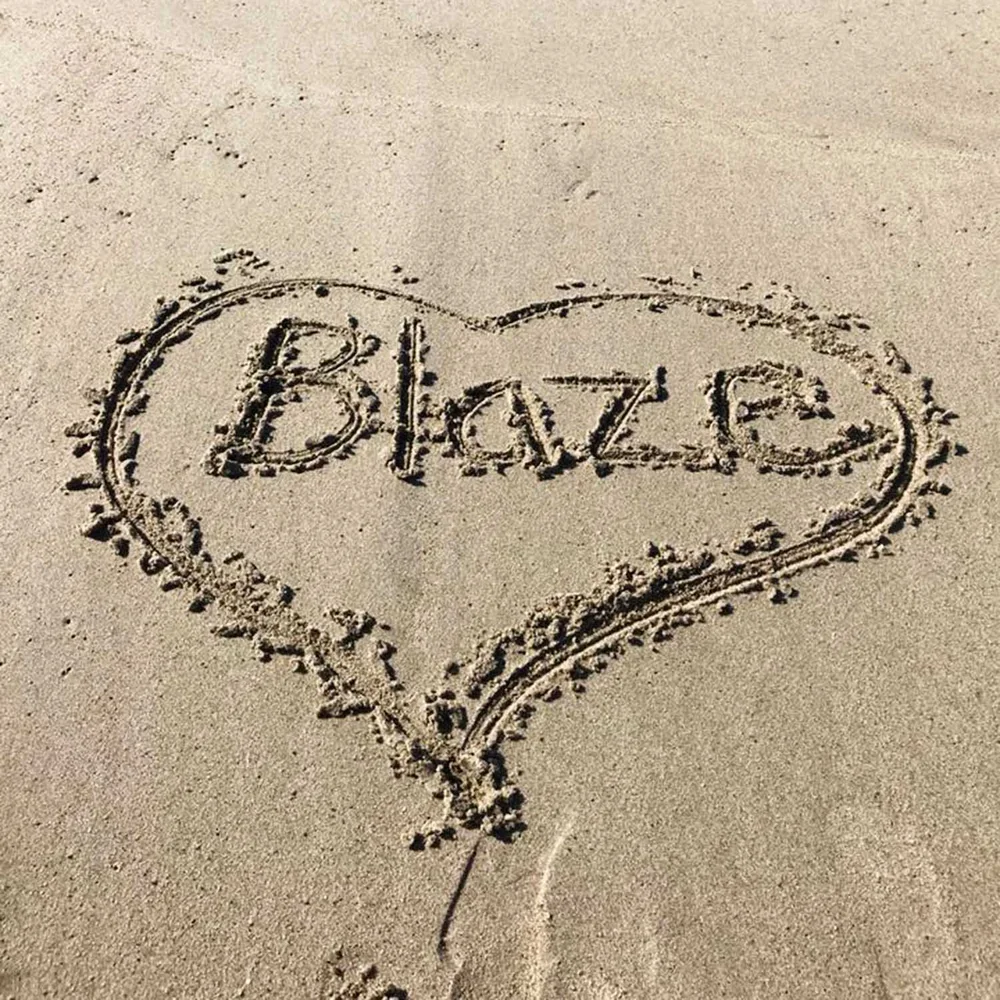 Blazeitforward Rocks Blaze Bernstein Official Blog | #BlazeItForward: A Tribute to Blaze ...