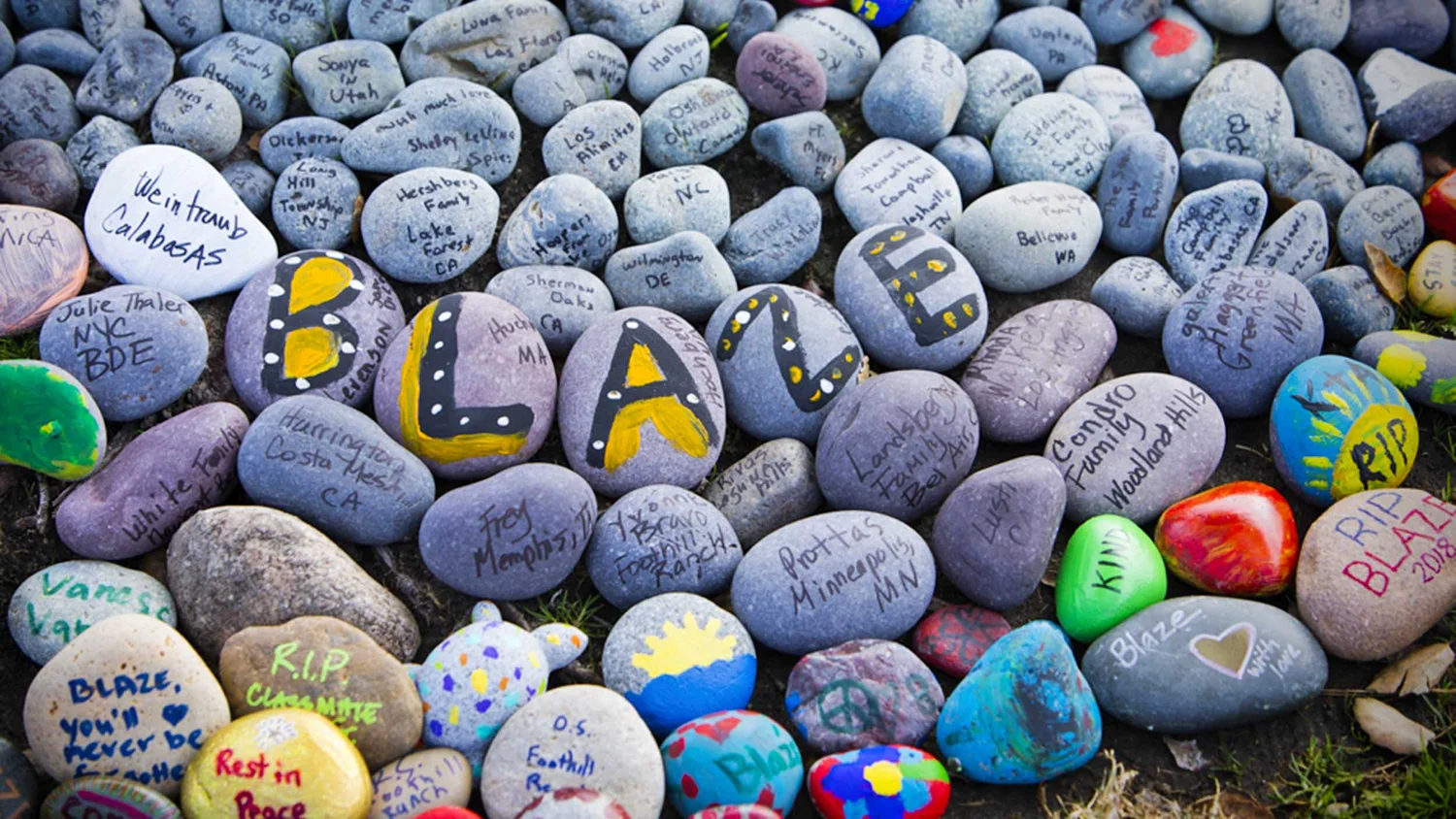 Blazeitforward Rocks Blaze Bernstein Official Blog | #BlazeItForward: A Tribute to Blaze ...