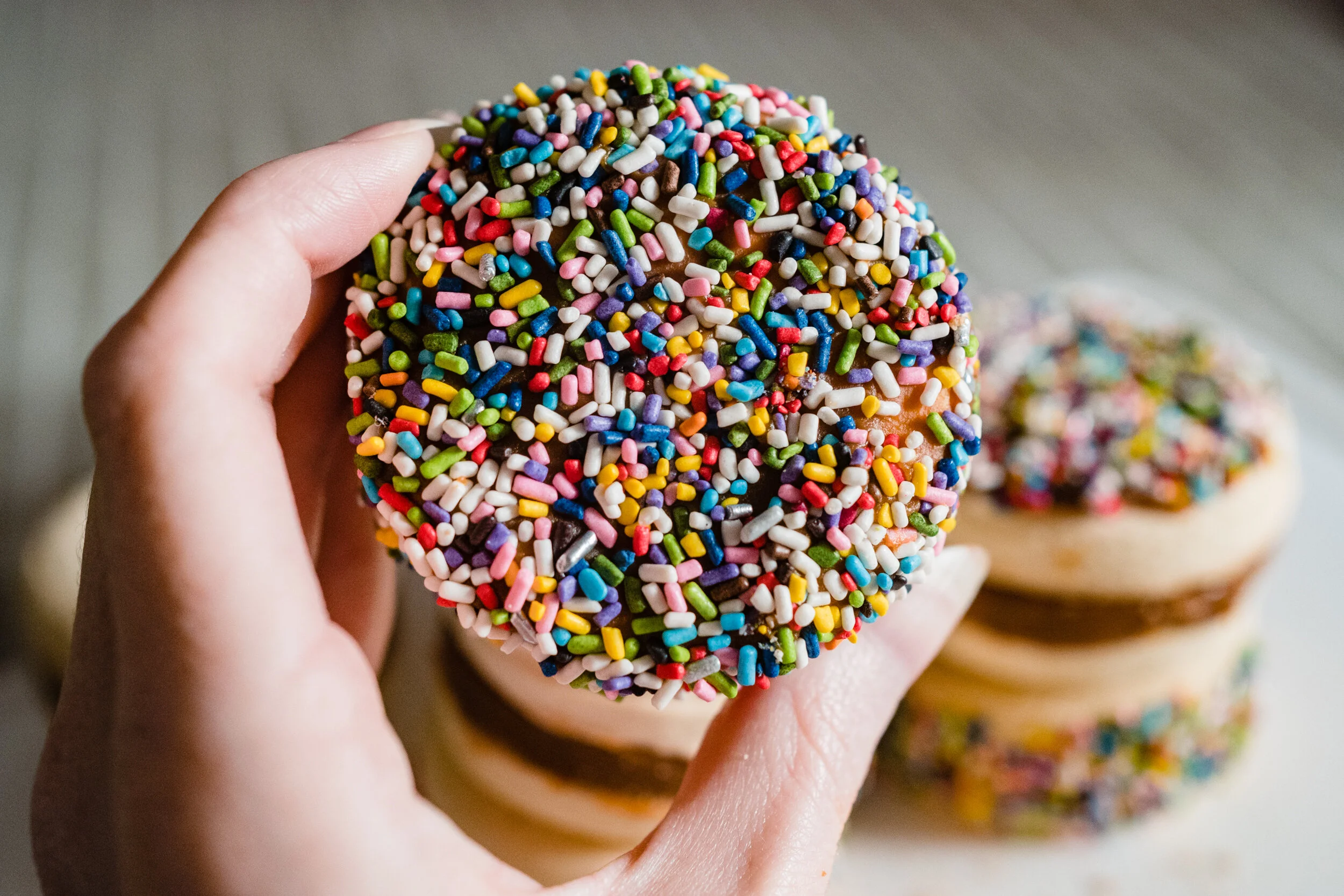 alfajor-photography-food-argentina-halifax-nova-scotia-canada-3