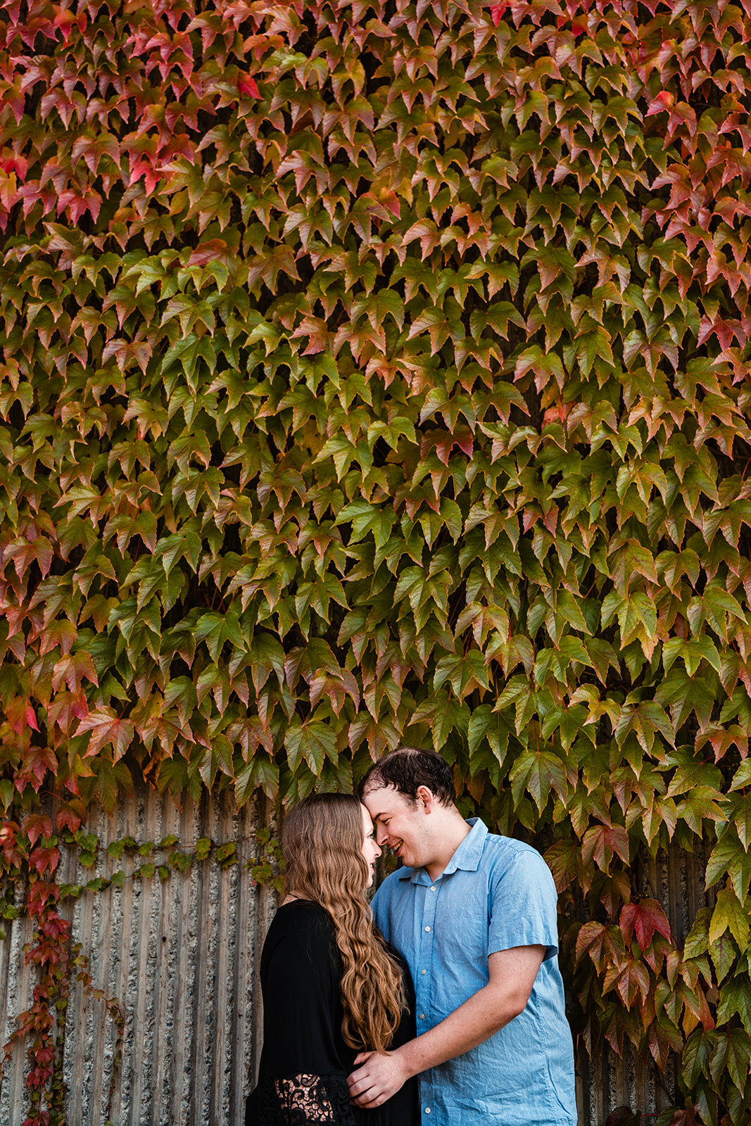 Rachael & Trevor (2 of 32)halifax-photography-Dartmouth-engagement-couple-lifestyle-foxandfellow-Fall-novascotia-waterfront.jpg