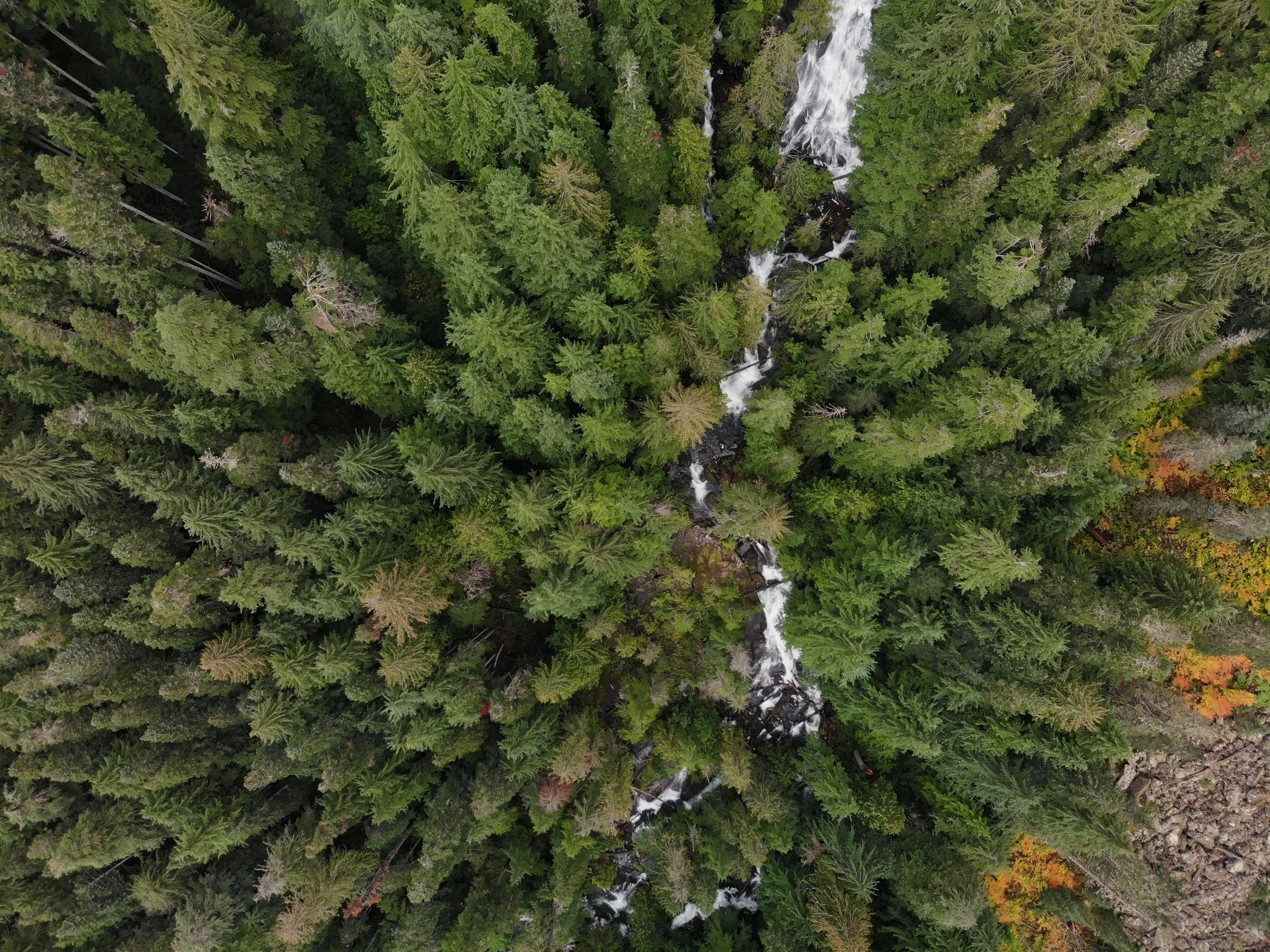 DJI_0820.JPG