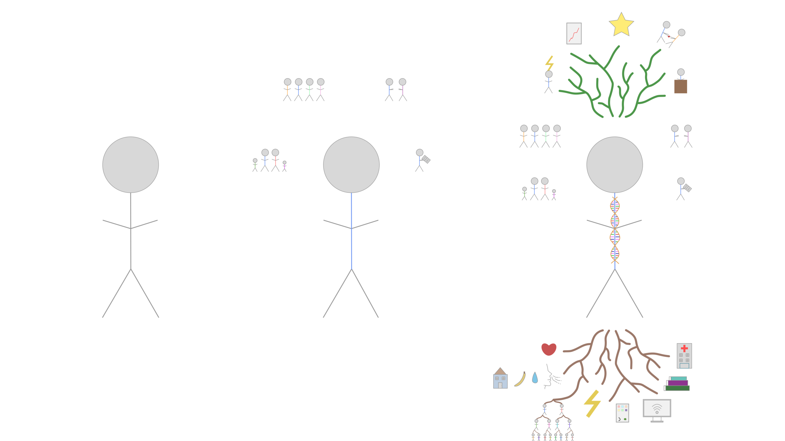 Human HLP