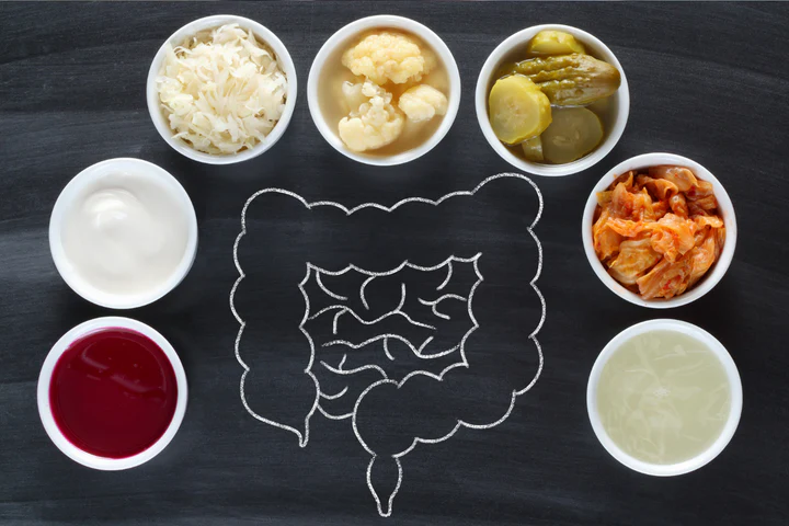 Gut Immune System.png