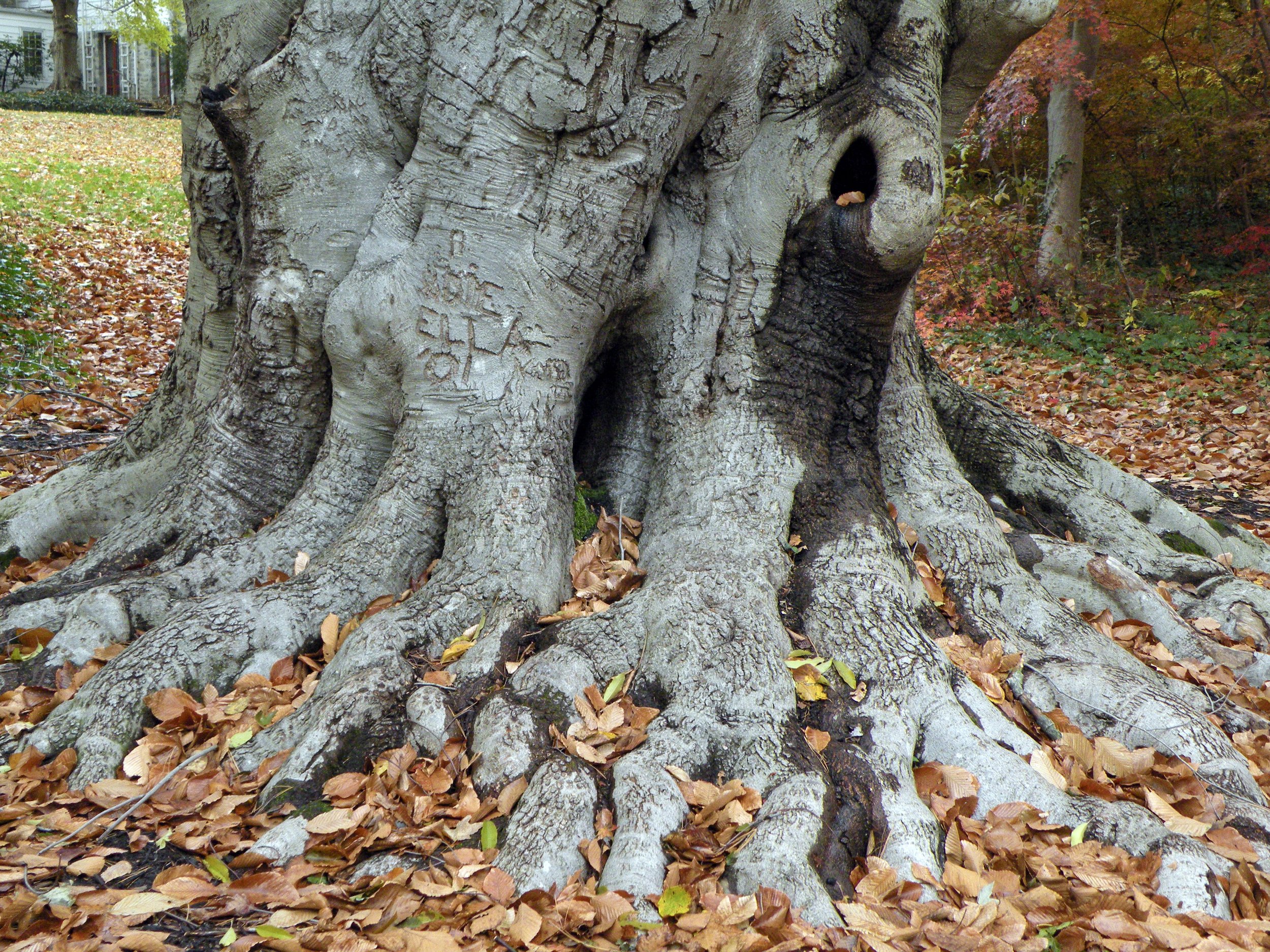 DSCN6896.jpg