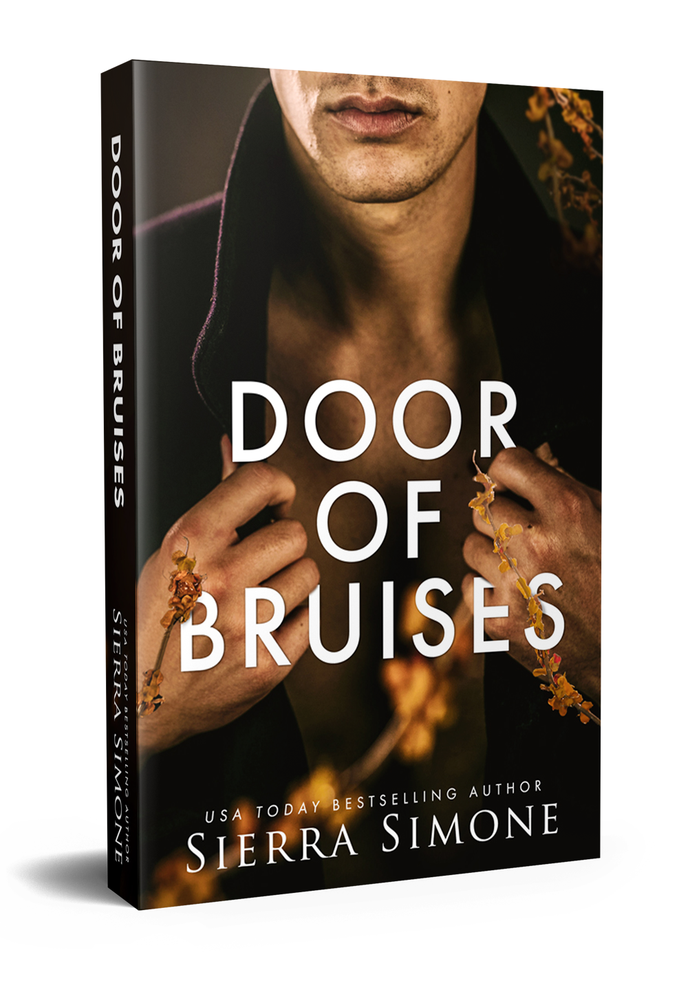 door of bruises..png