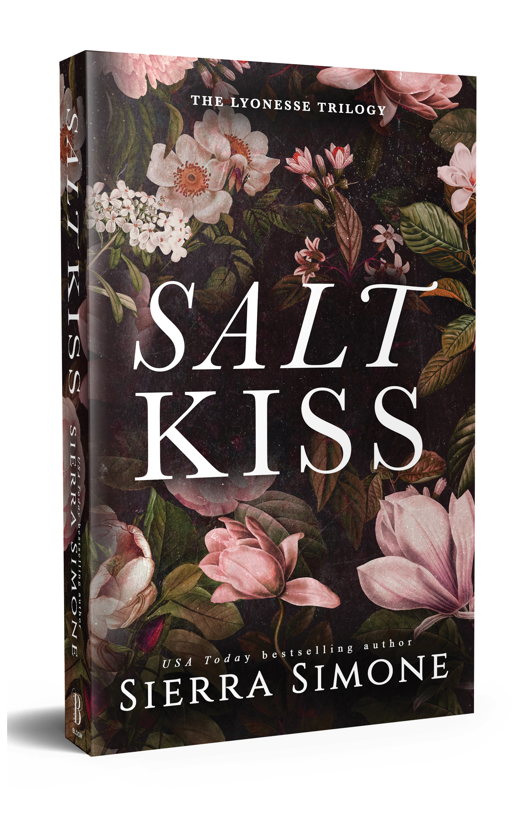 Salt Kiss 3D paperback mockup.png