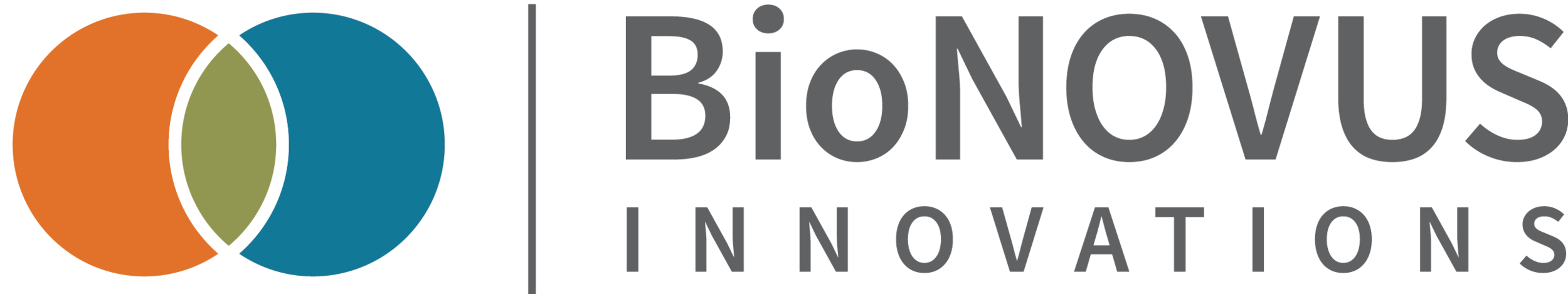 BIoNovus Logo FINAL.png
