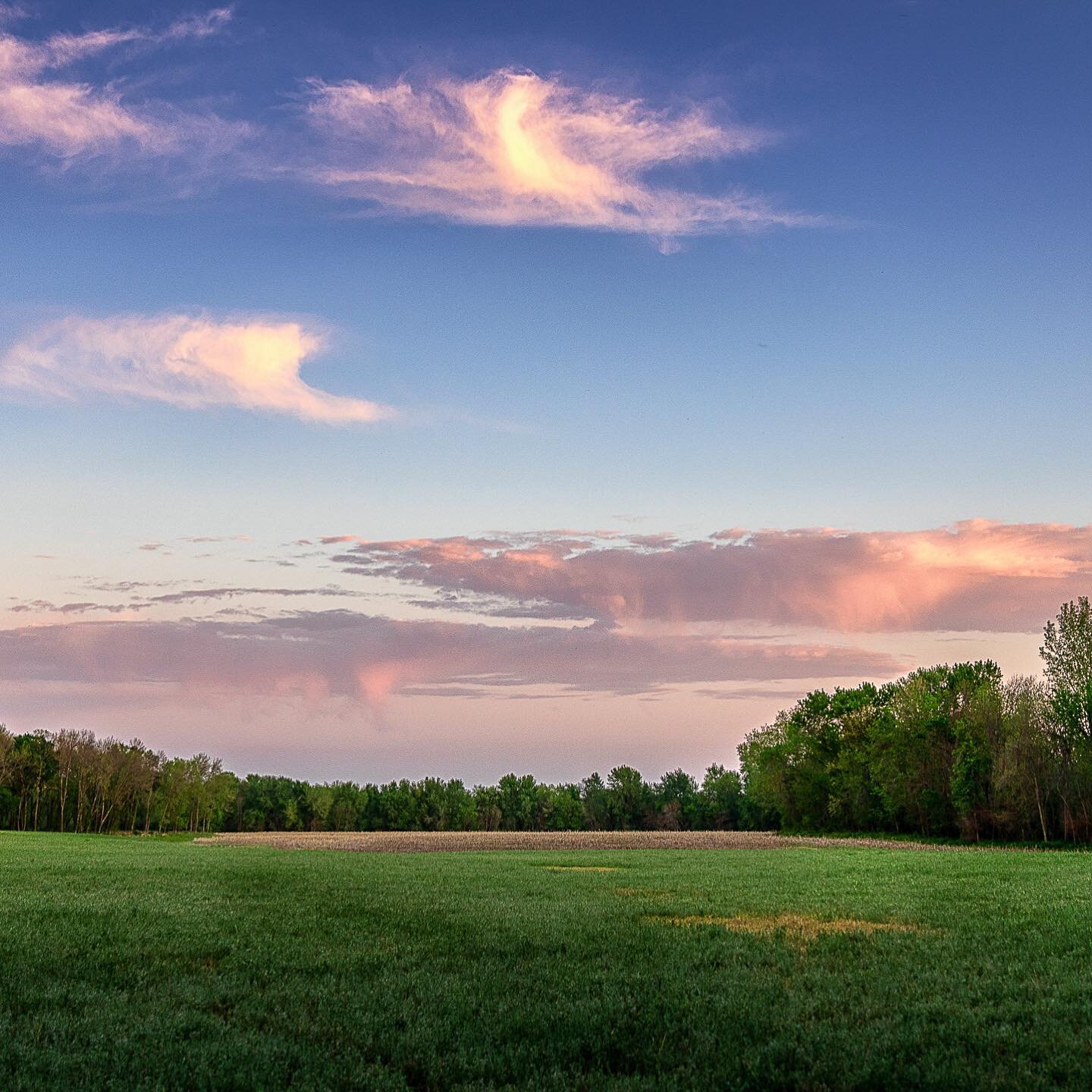 Kansas sunset