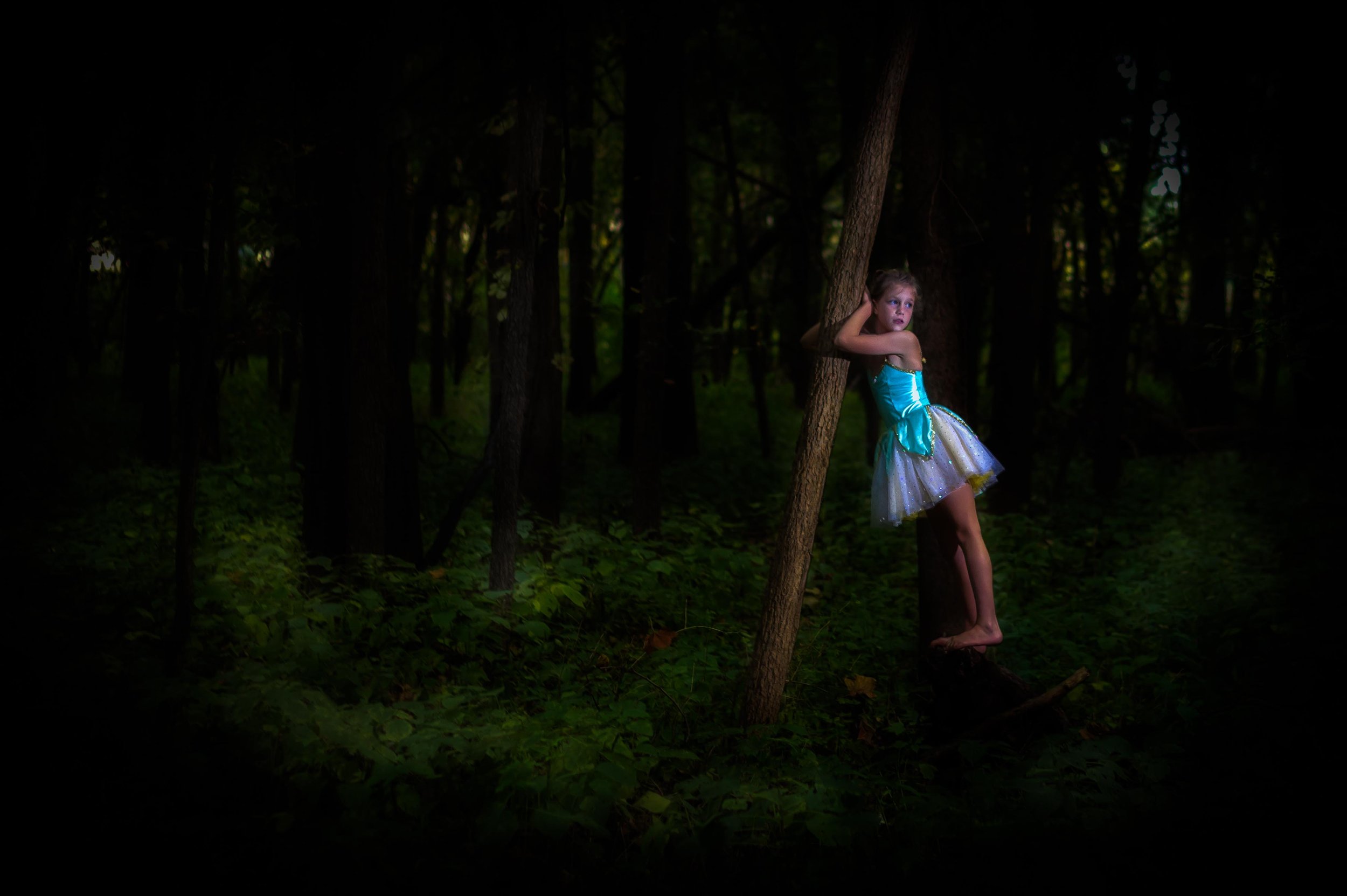 Forest_Fairy.jpg