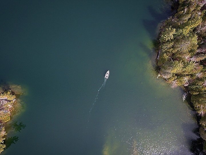 Location, Depth, Flies