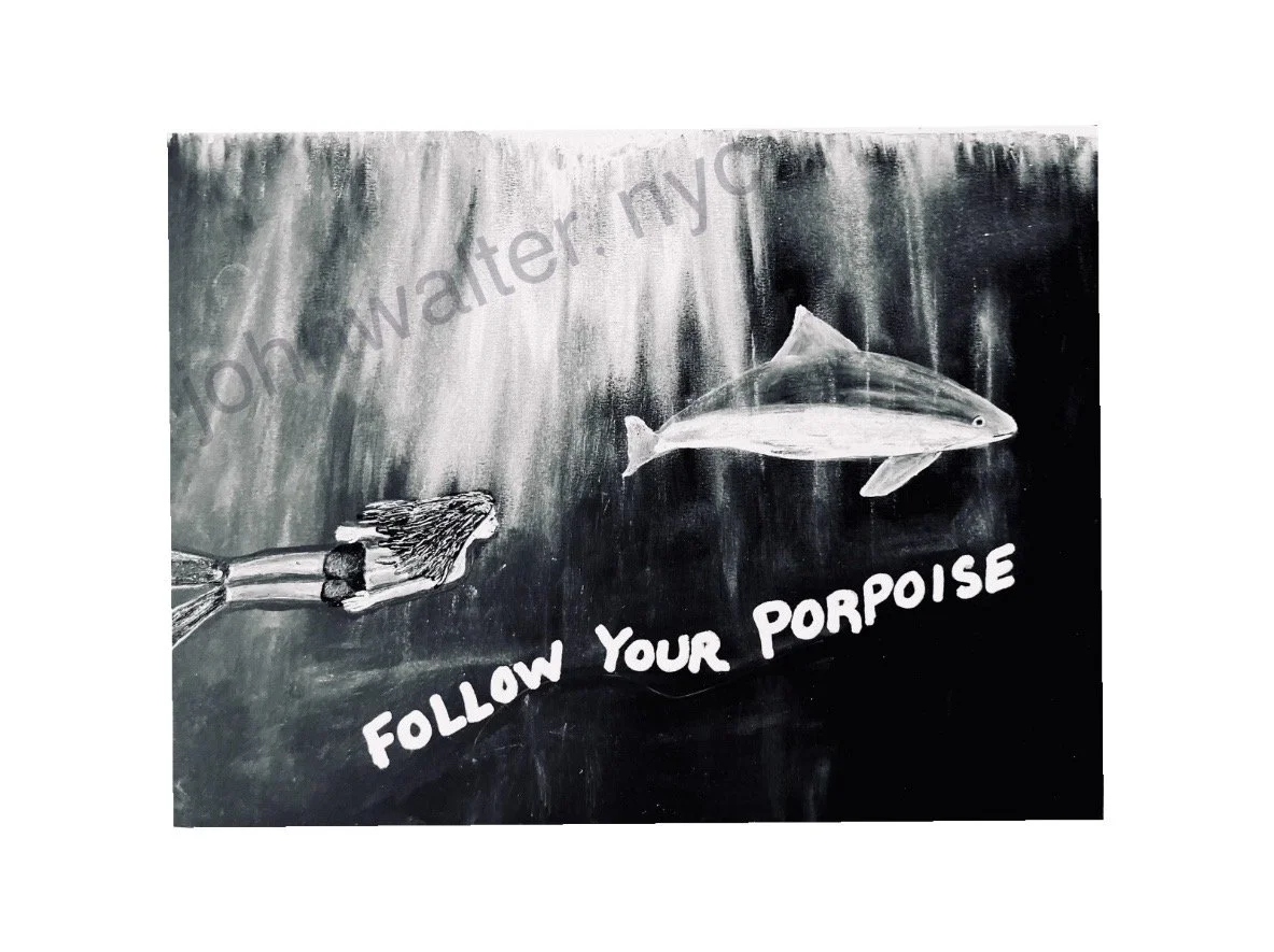 Follow Your Porpoise