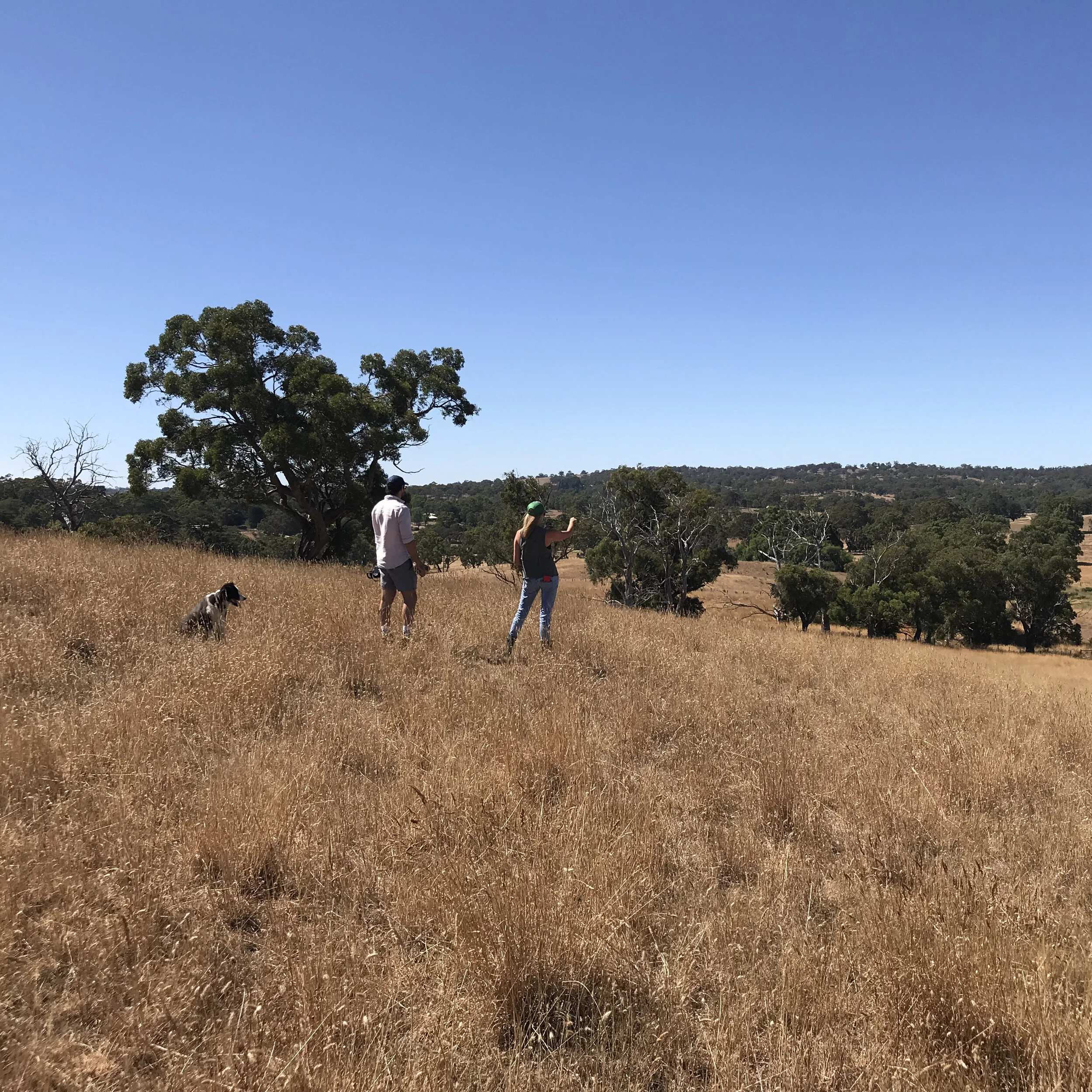 Oakbank House Site 2.jpeg