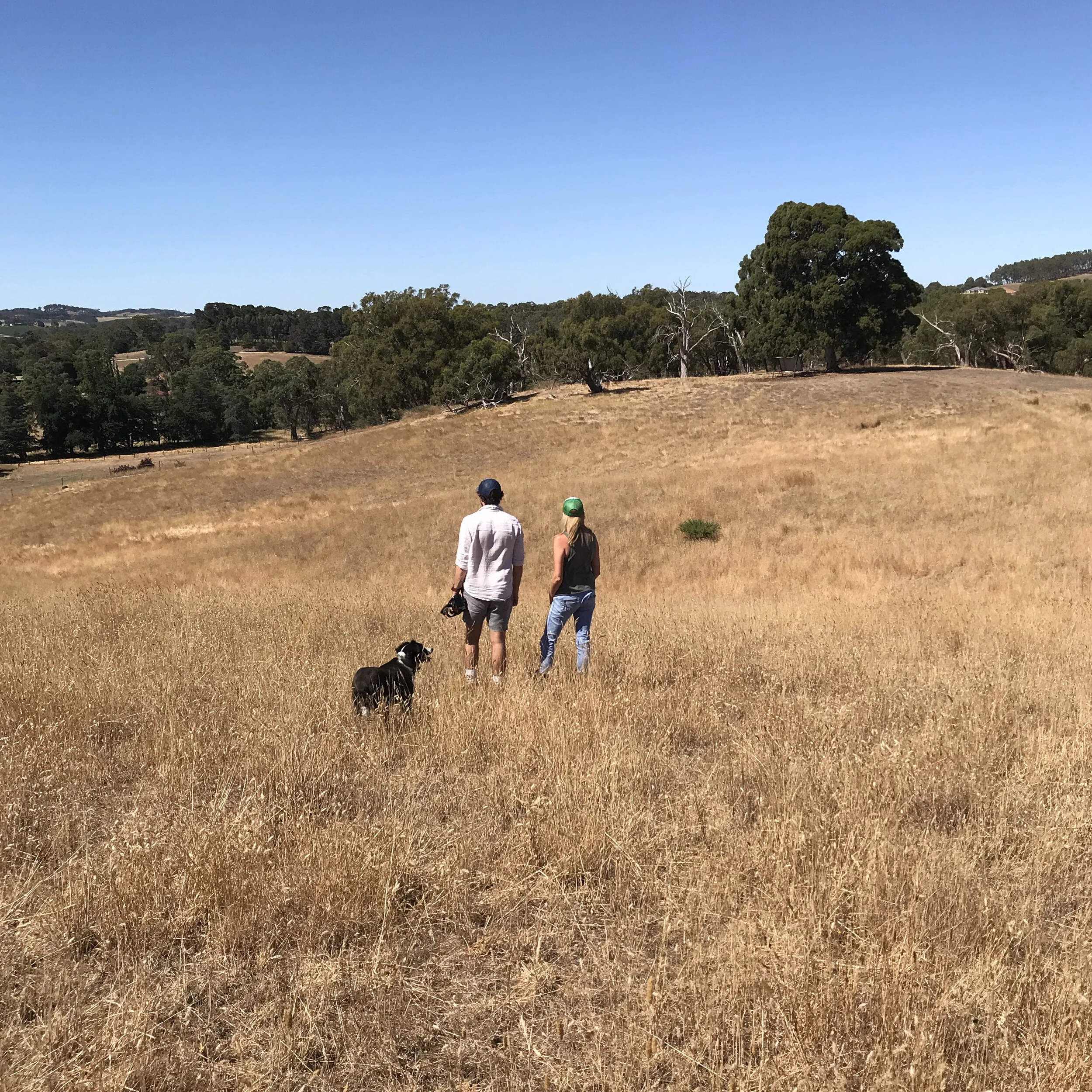 Oakbank House Site 1.jpeg