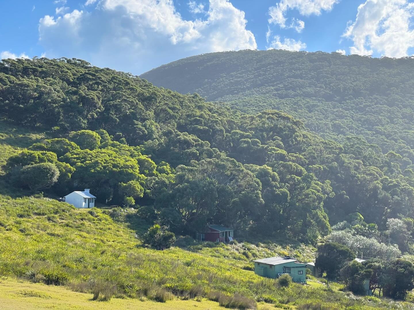 Sundays done right. Royal NP walks.

The heritage-listed cabin communities in the Royal National Park were built from 1930 to 1950 by private citizens using their own initiative, resources and labour. There are no roads, all materials have been carri