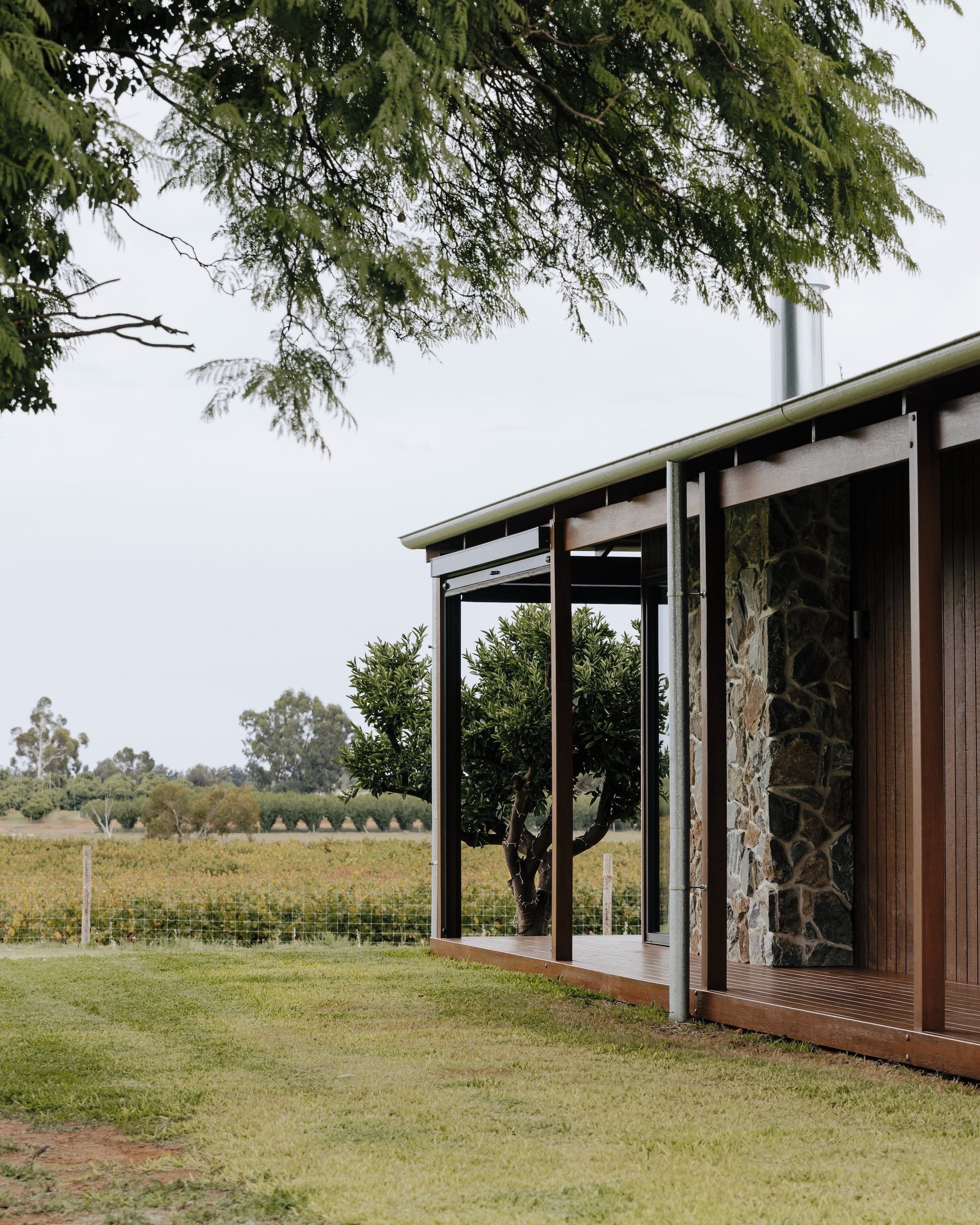 A view from the house, elevated over the landscape, revealing the relationship between the verandah and the vineyard beyond. Distant views of the local grape vines and fruit-growing areas, along with the retained orange tree and jacaranda, enhance t