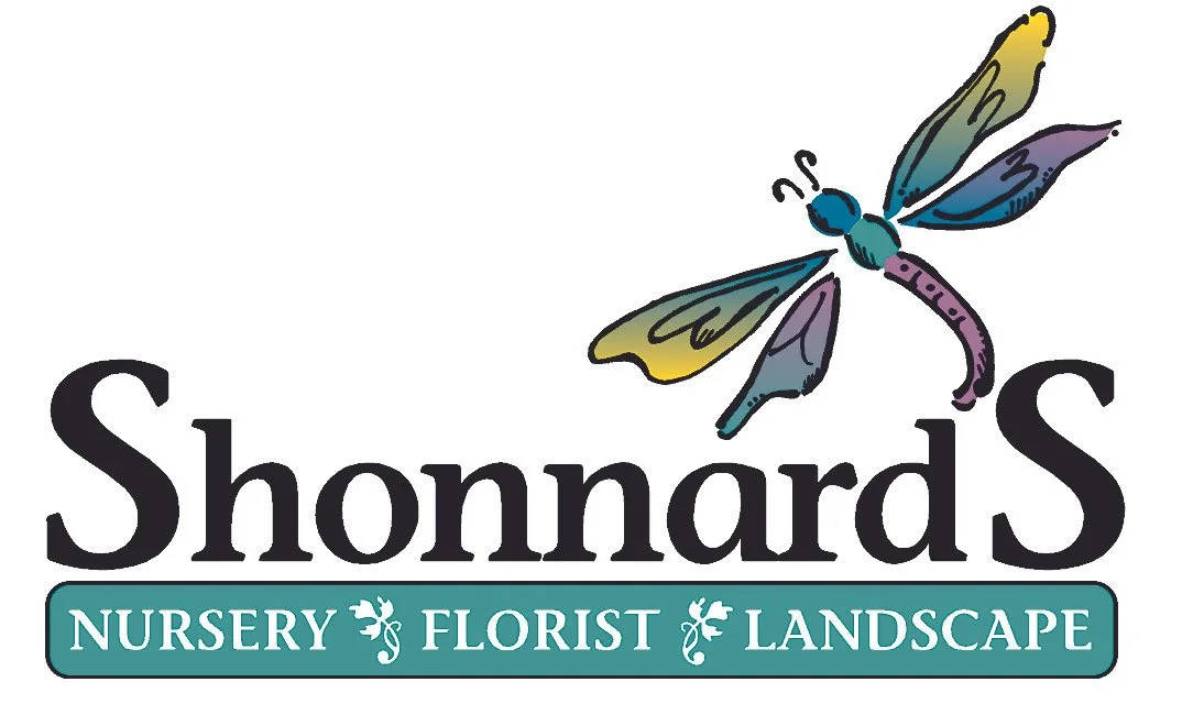 Shonnard's.jpg