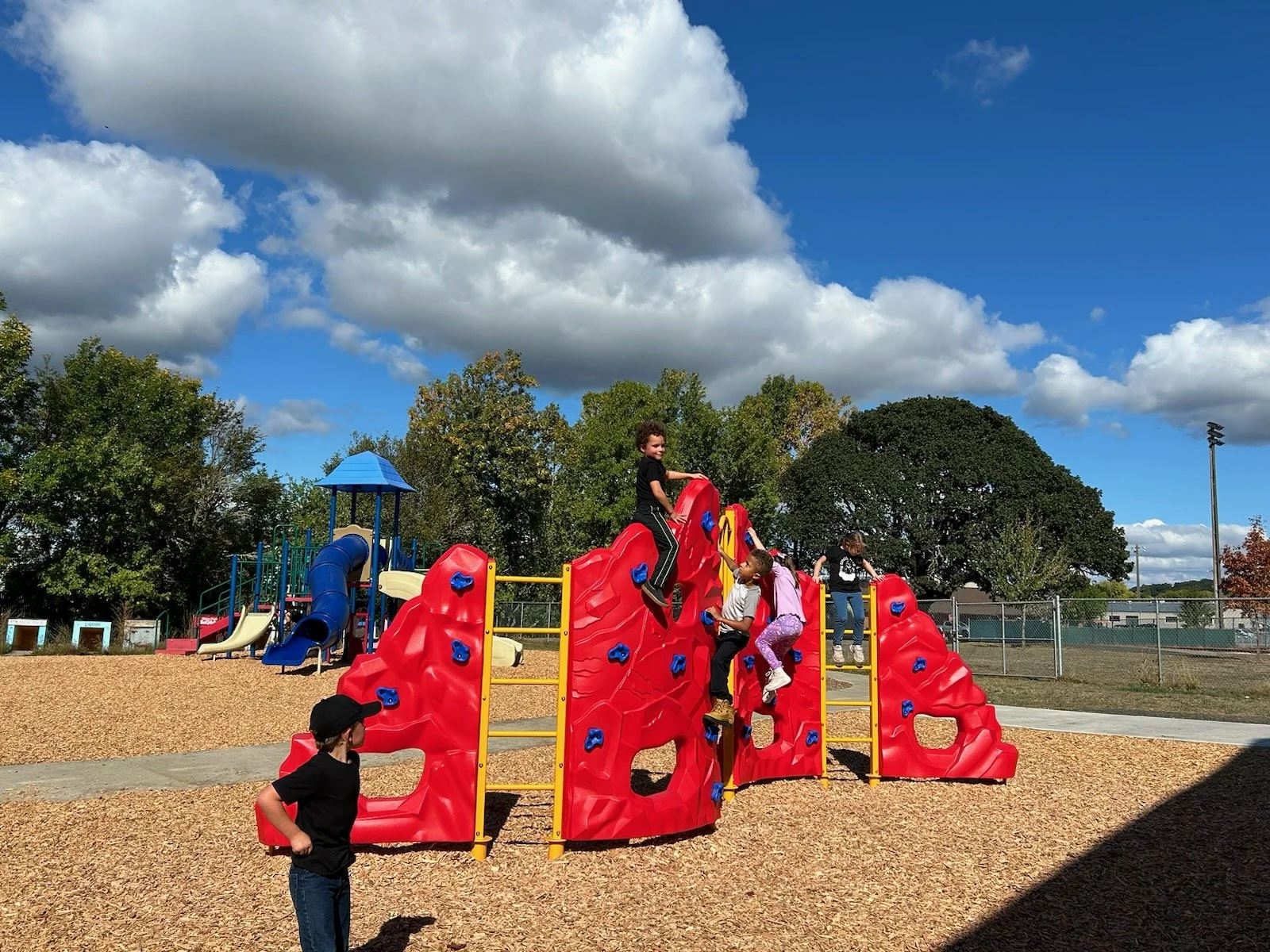 stars climbing wall .jpg