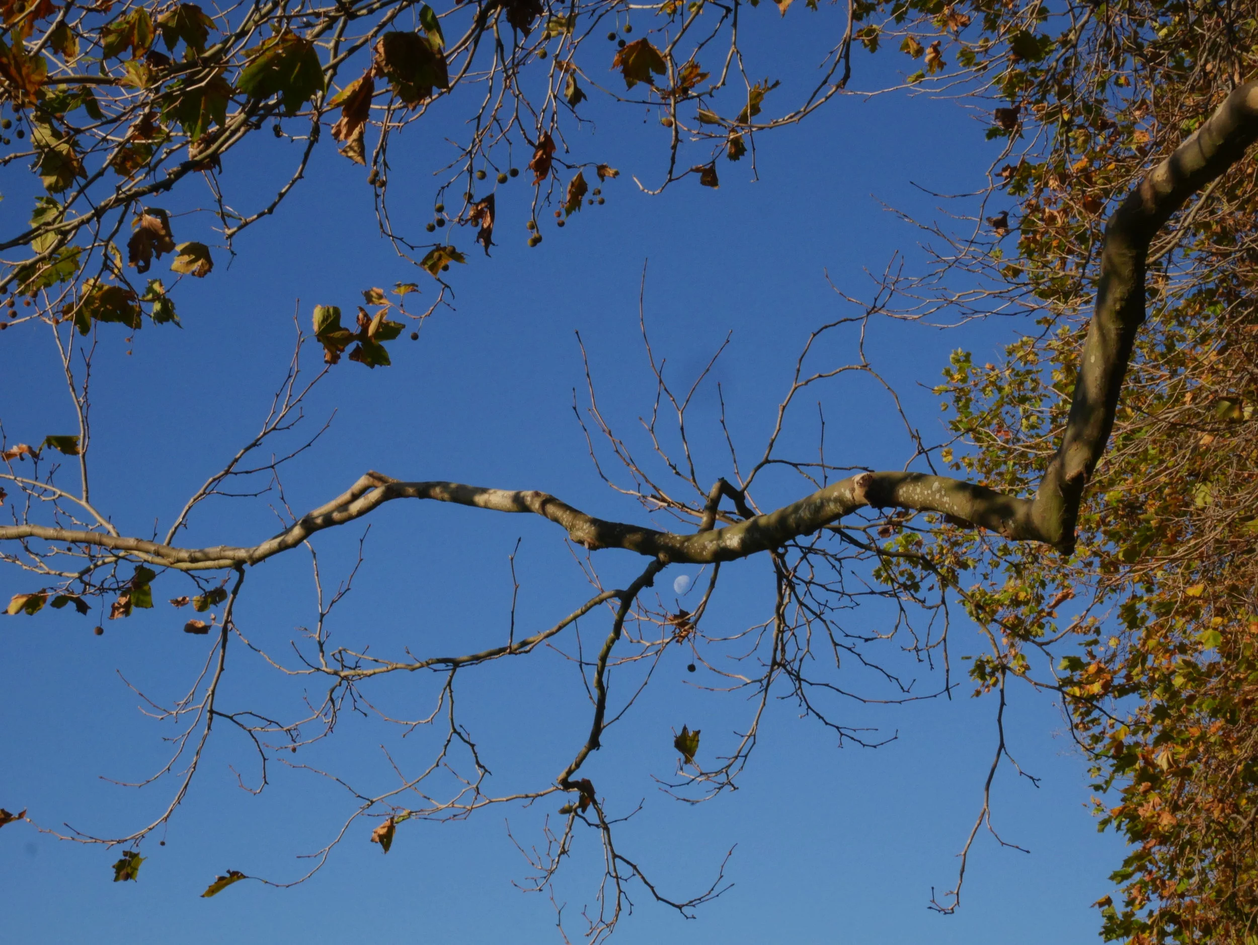 P1090742.JPG