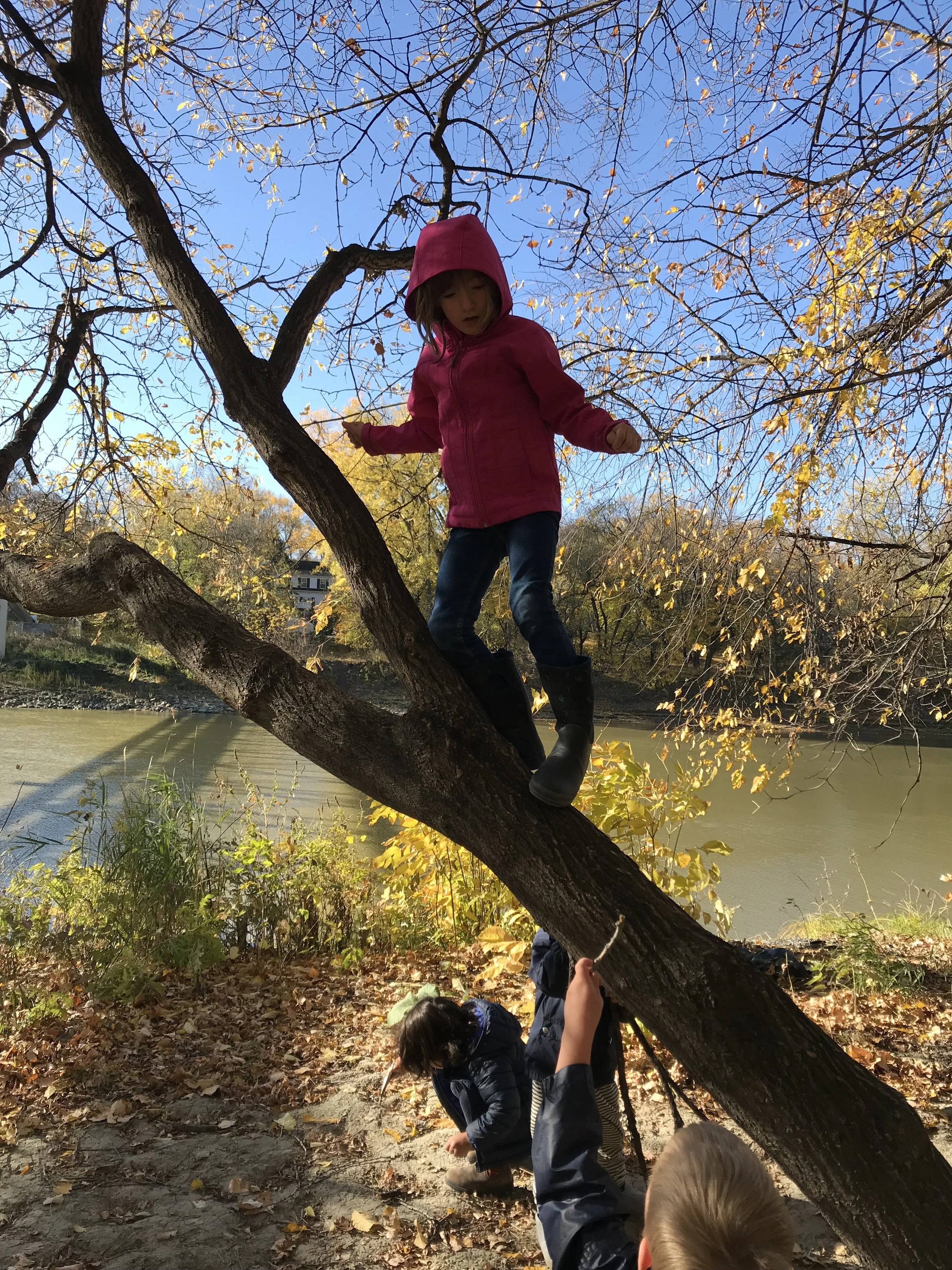 kids in tree.jpg