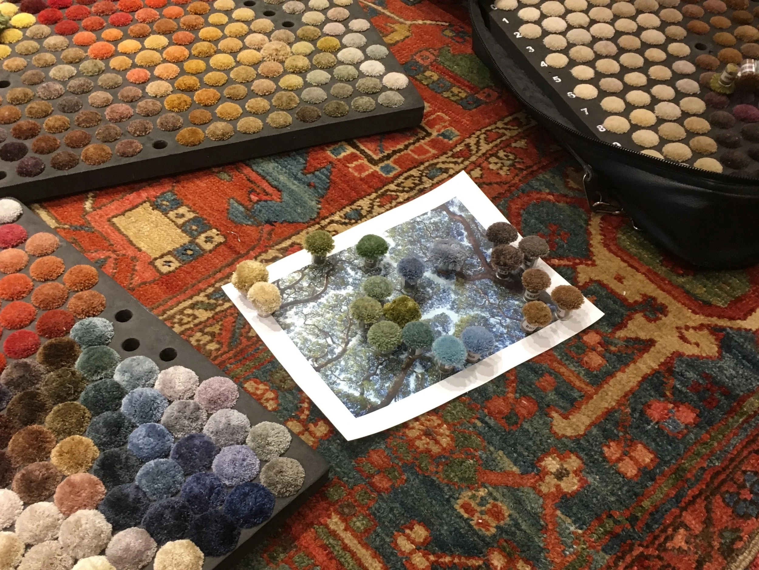 Dane Austin Design | Matching Poms to Rug Image | 5 Under 40 .jpg