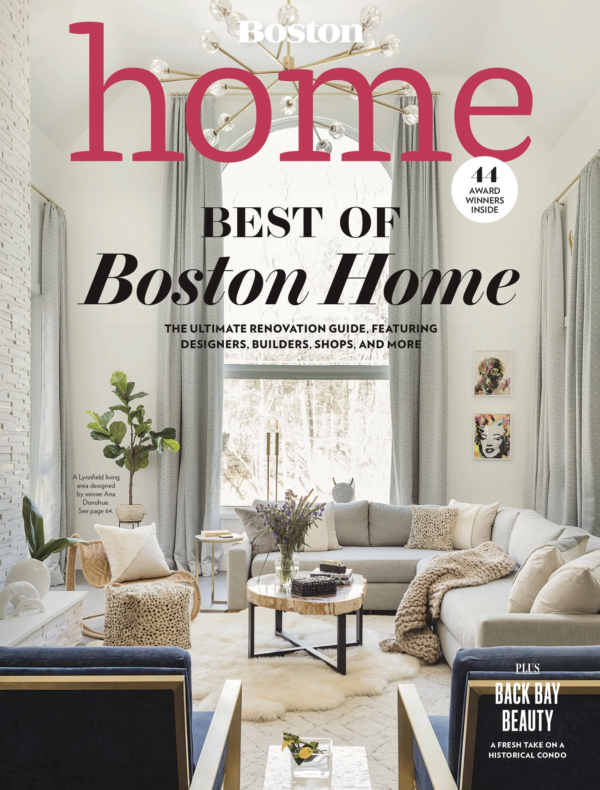 Dane Austin Design Featured in Boston Home