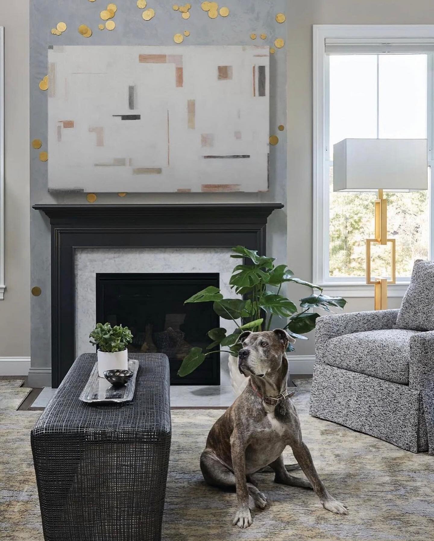 &ldquo;Why does watching a dog be a dog fill one with happiness? 
&mdash; Jonathan Safran Foer 

Such a handsome boy Charlie is. This image carried by @seanlitchfield brings me so much delight. 

As seen in @mlinteriorsbos 
@modernluxury 

Follow #th