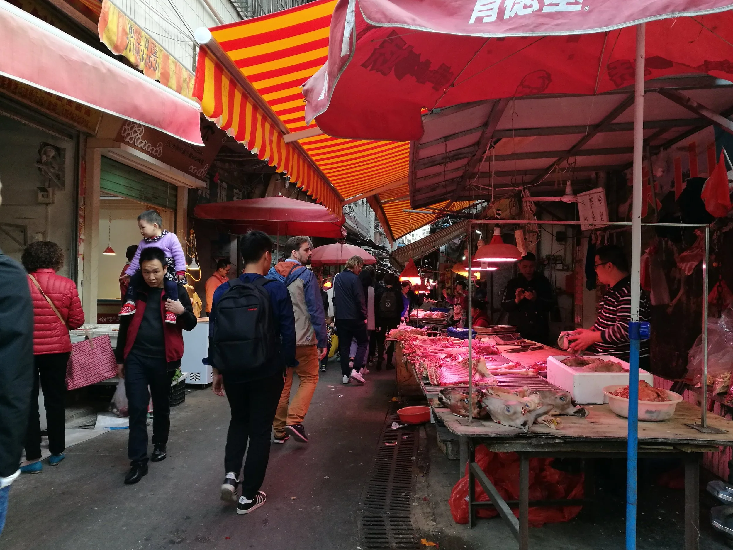 sitevisit5.jpg