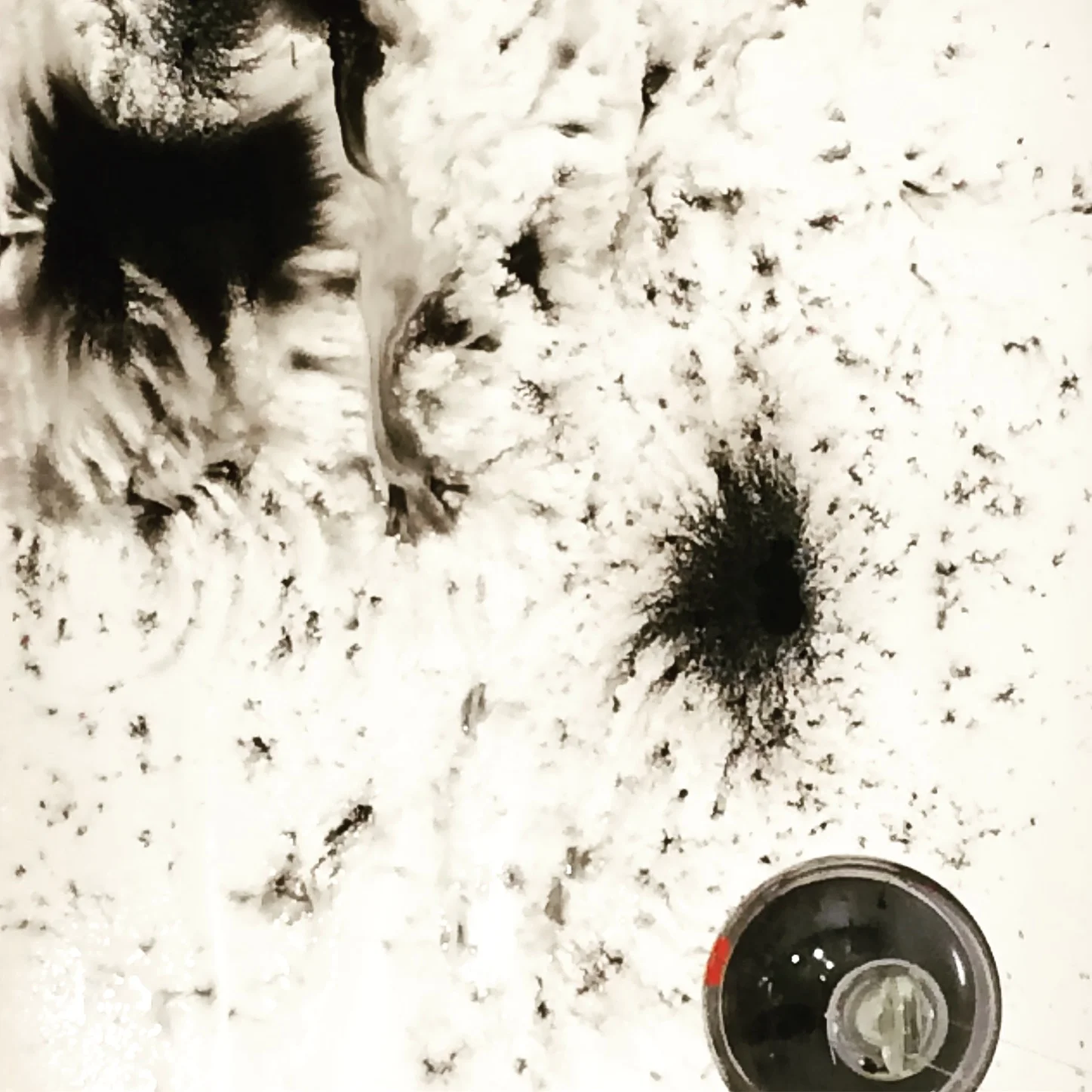  Water, ink, paper, glass, Cor-ten steel (Installation 61cm x 86cm x 200cm) 