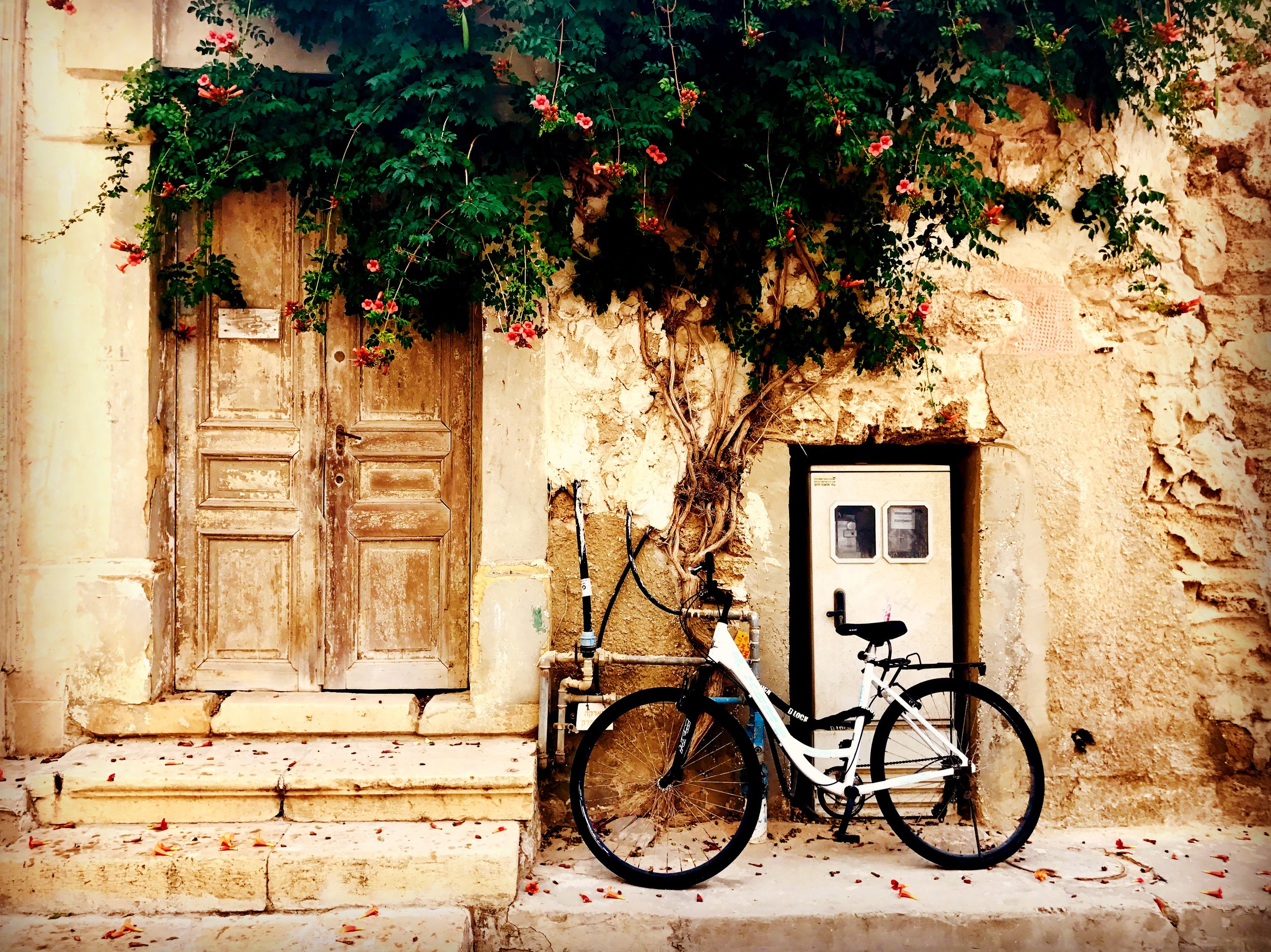 Doorway : Bicycle, HaShahat.JPG