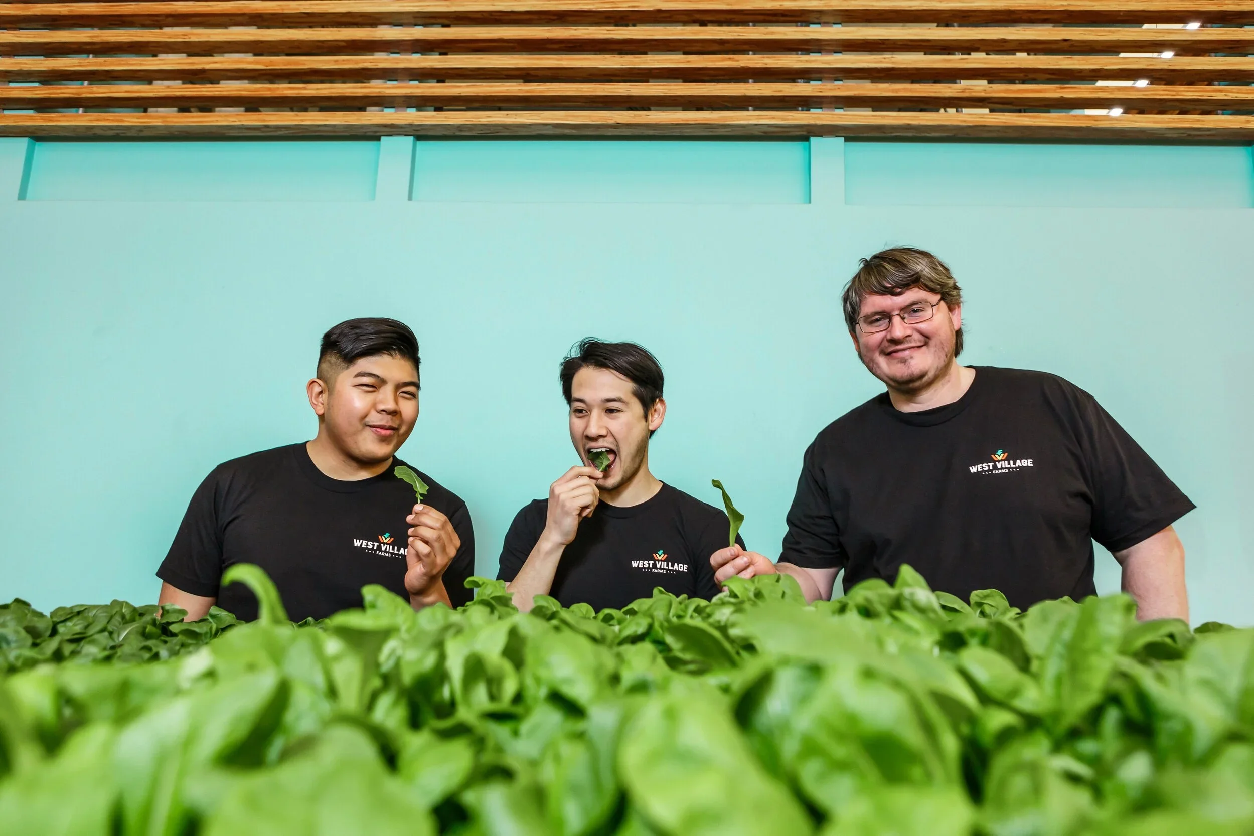West_Village_Farms_RDweb.jpg.webp