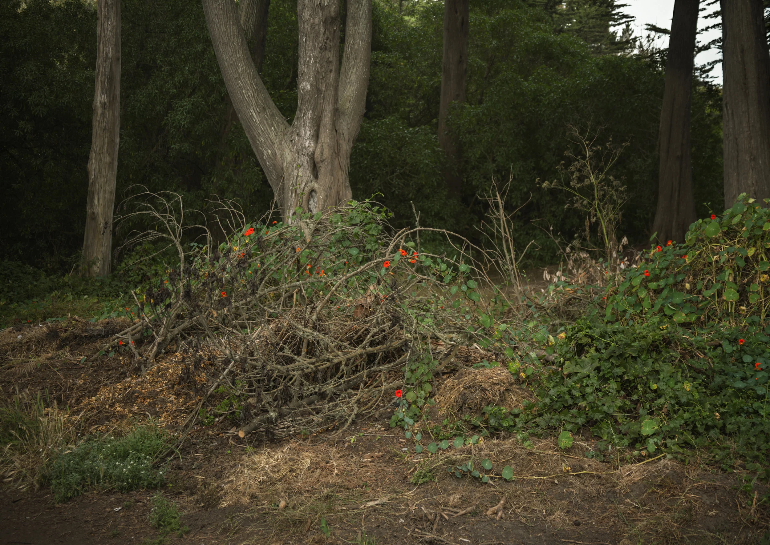 Debris