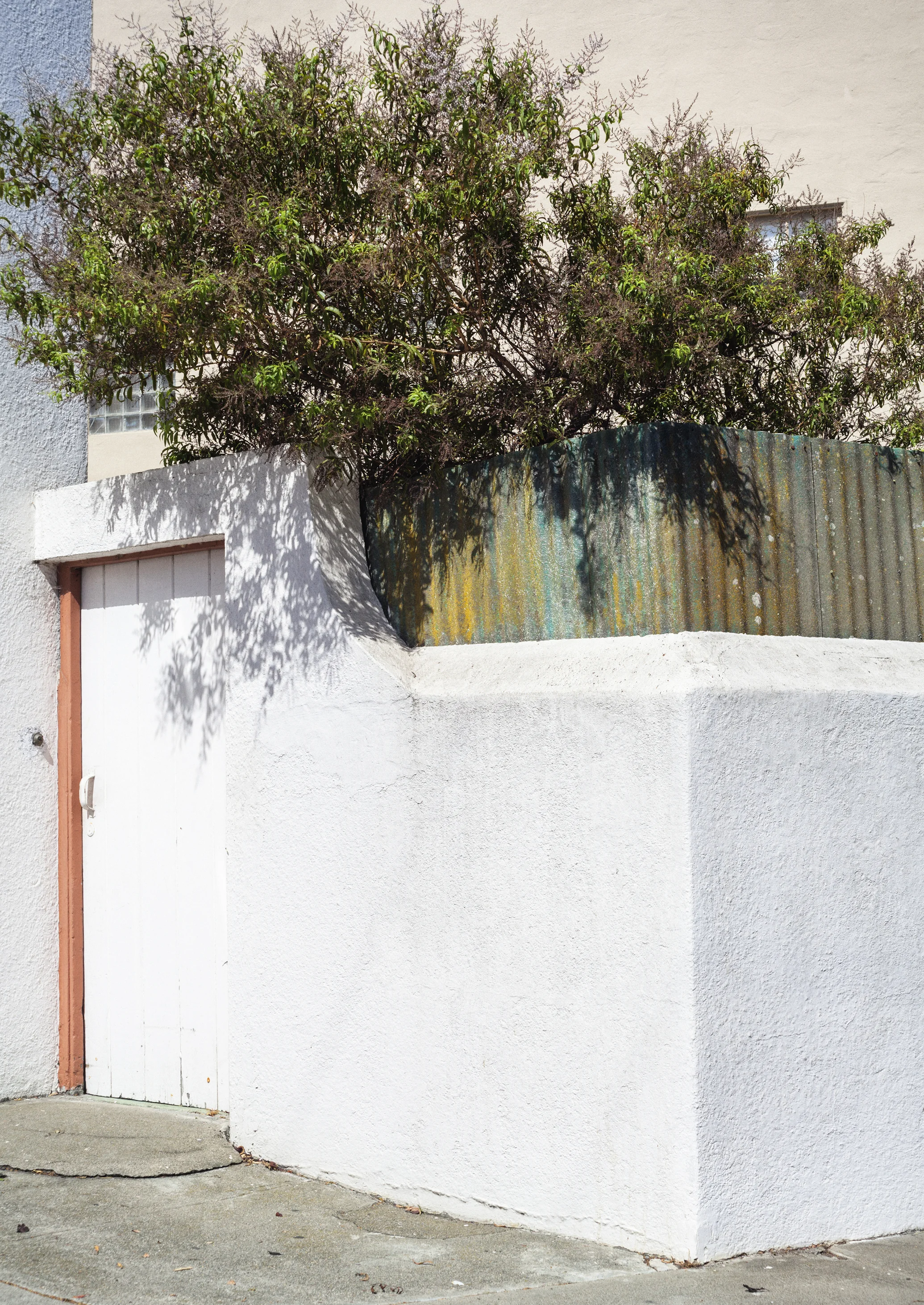 White Door