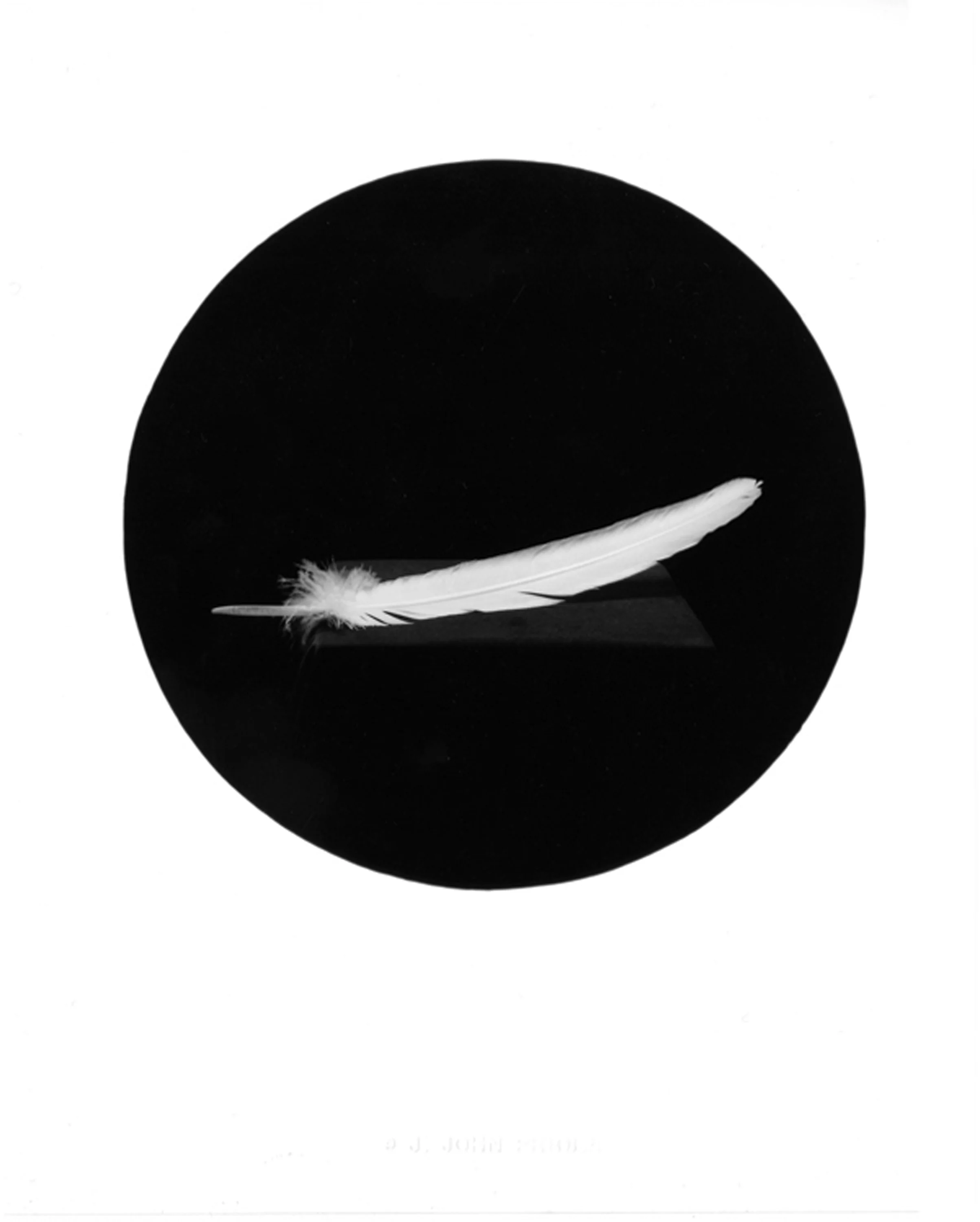 Feather