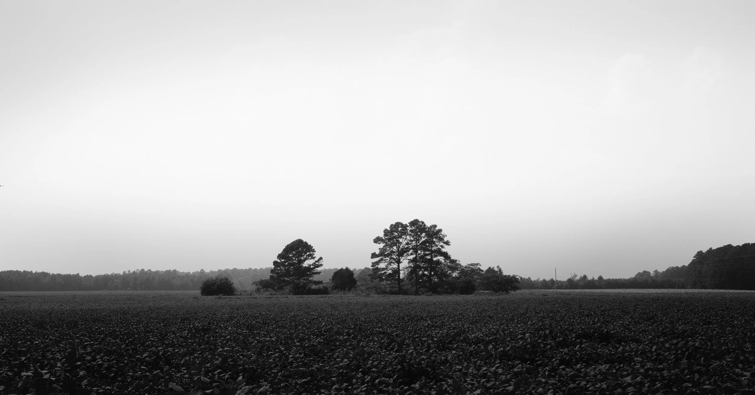 Upper Black Creek Road
