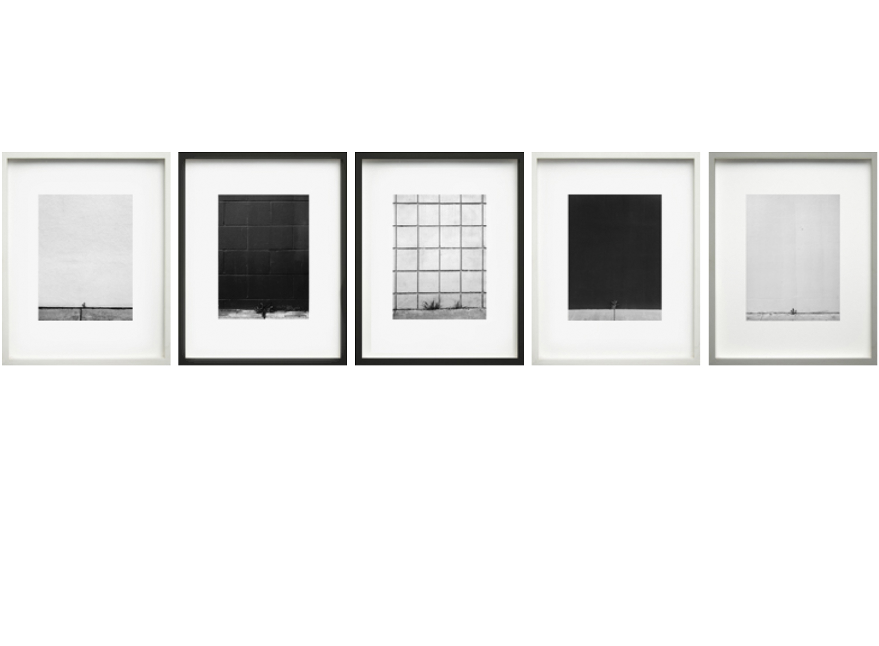  Series of 5, framed, one size, specific frame colors 2006-2008 
