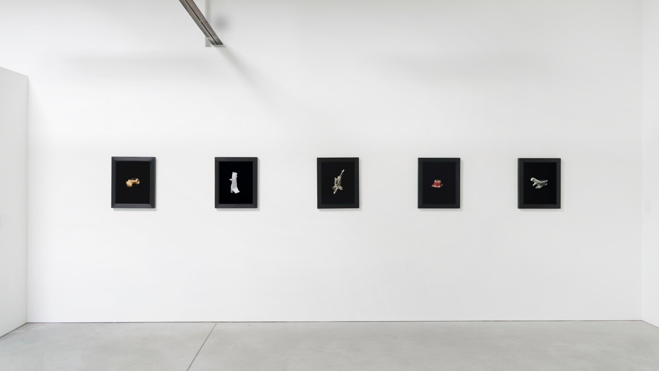 Natural Light, Anglim Gilbert Gallery