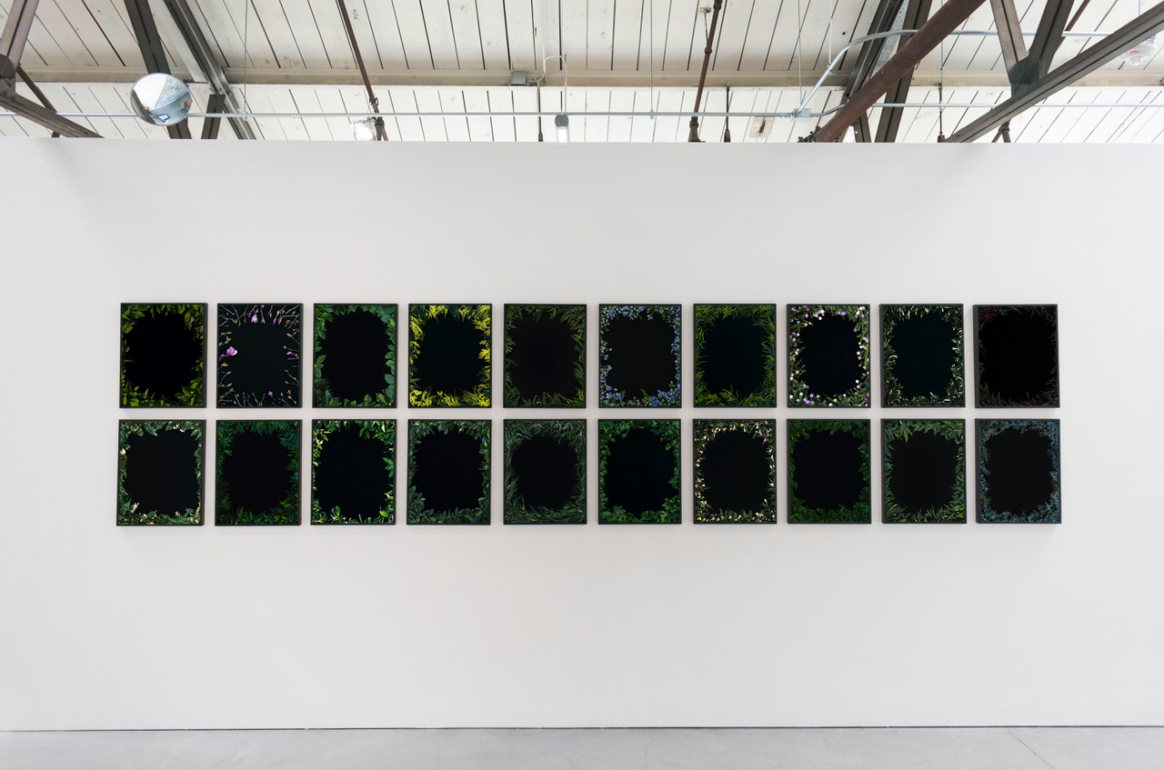 Natural Light Anglim Gilbert Gallery