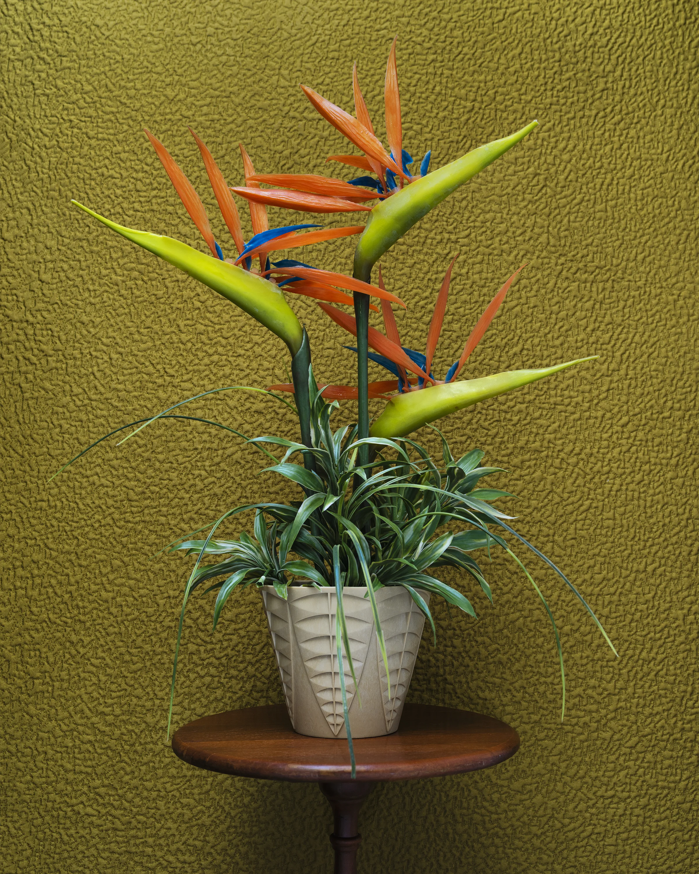 Cream Vase