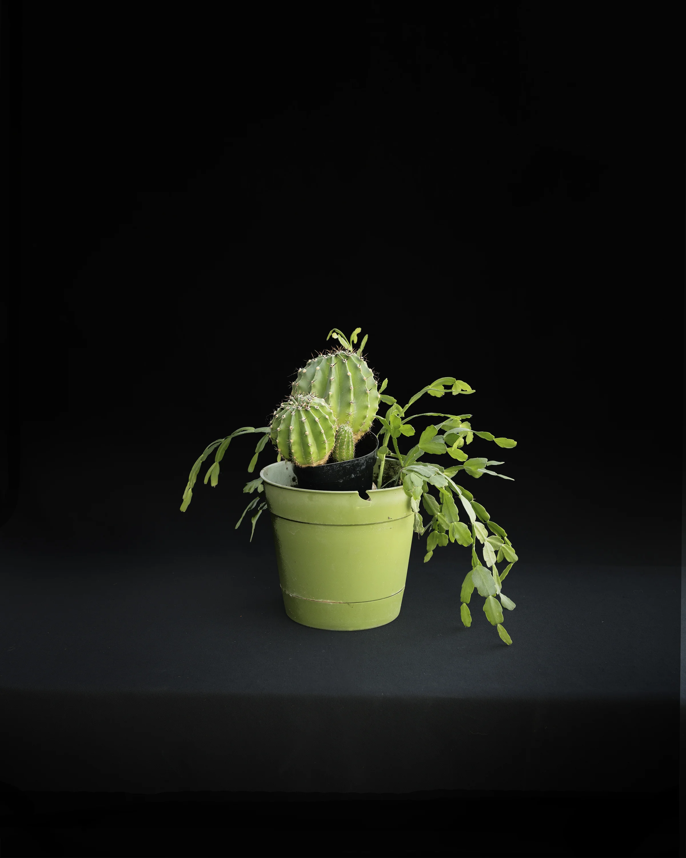 GROW, SM