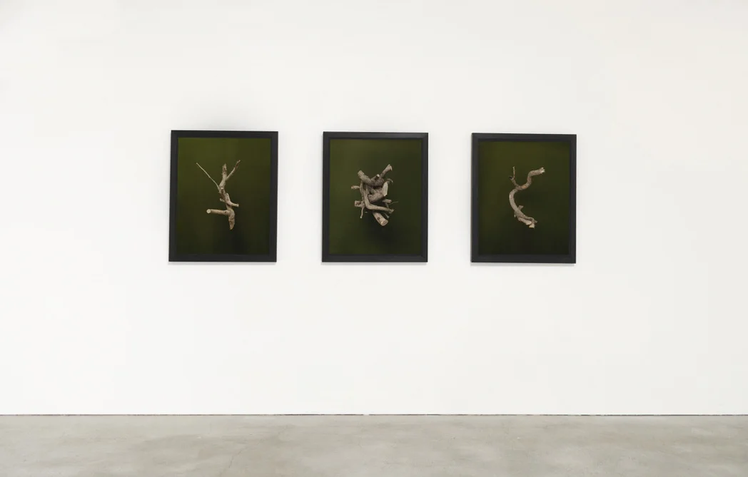 Cuts, installation view, 2019