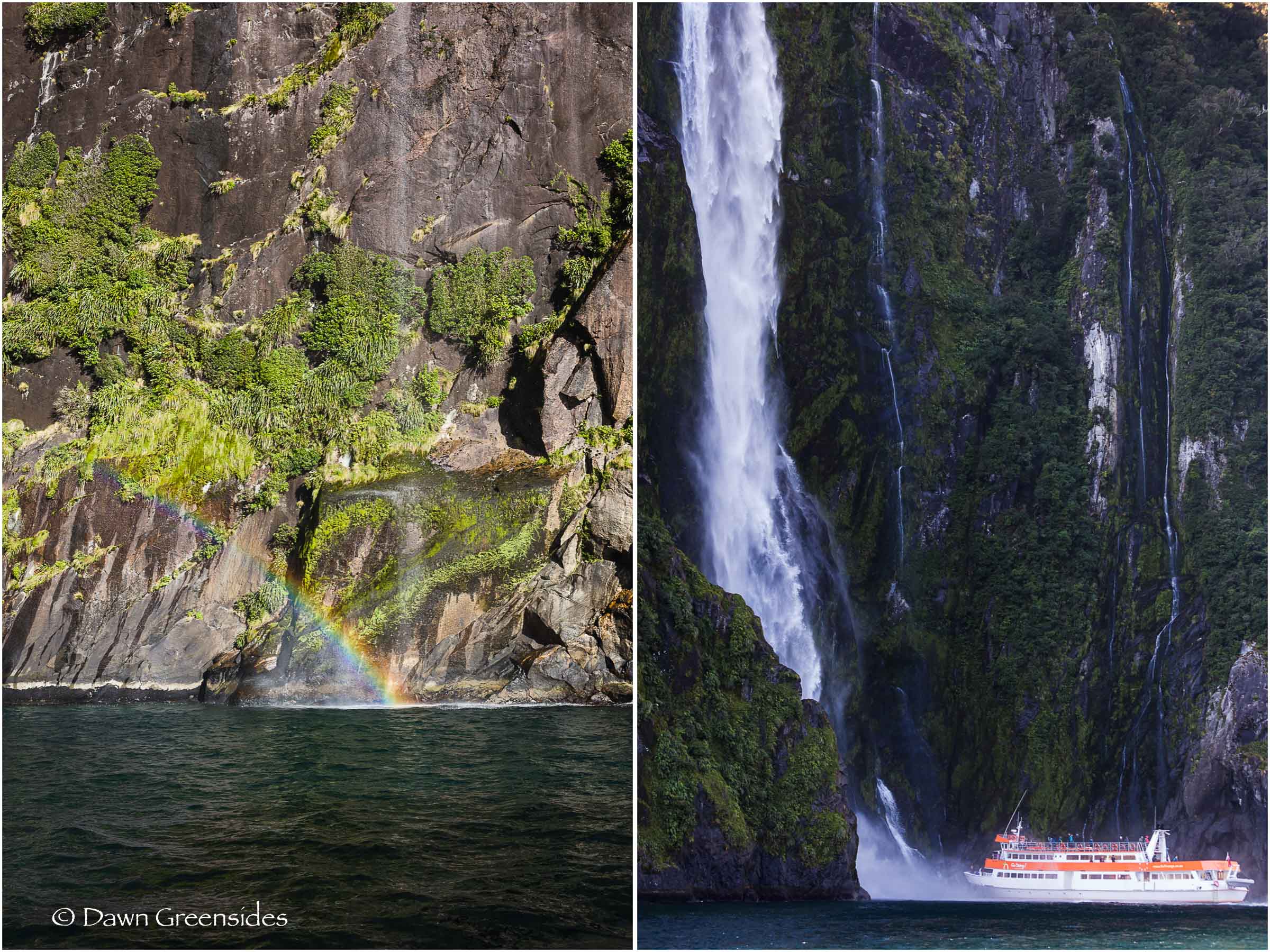 Milford Sound-11.jpg