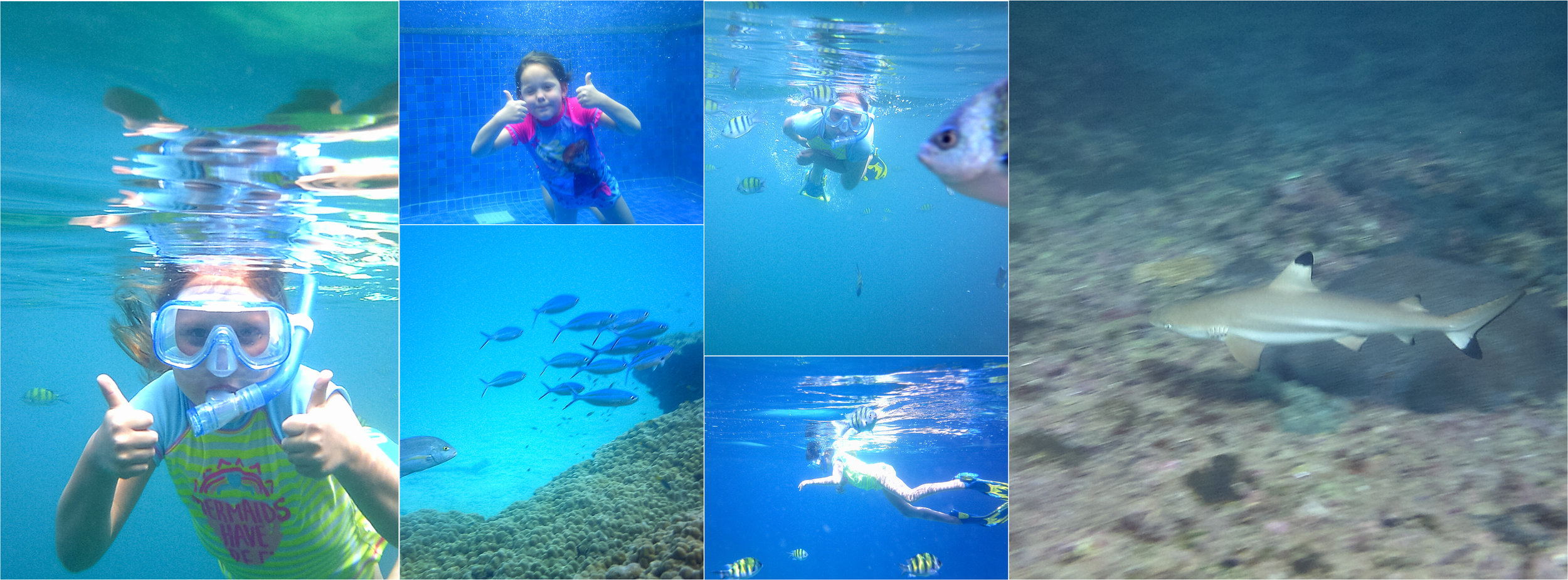   This was Piper’s second time snorkeling and she did great! The Thai team on the boat couldn’t believe how well she could swim and that she just jumped in and off she went. What a great snorkeling trip, we found a baby shark nursery (baby shark doo 