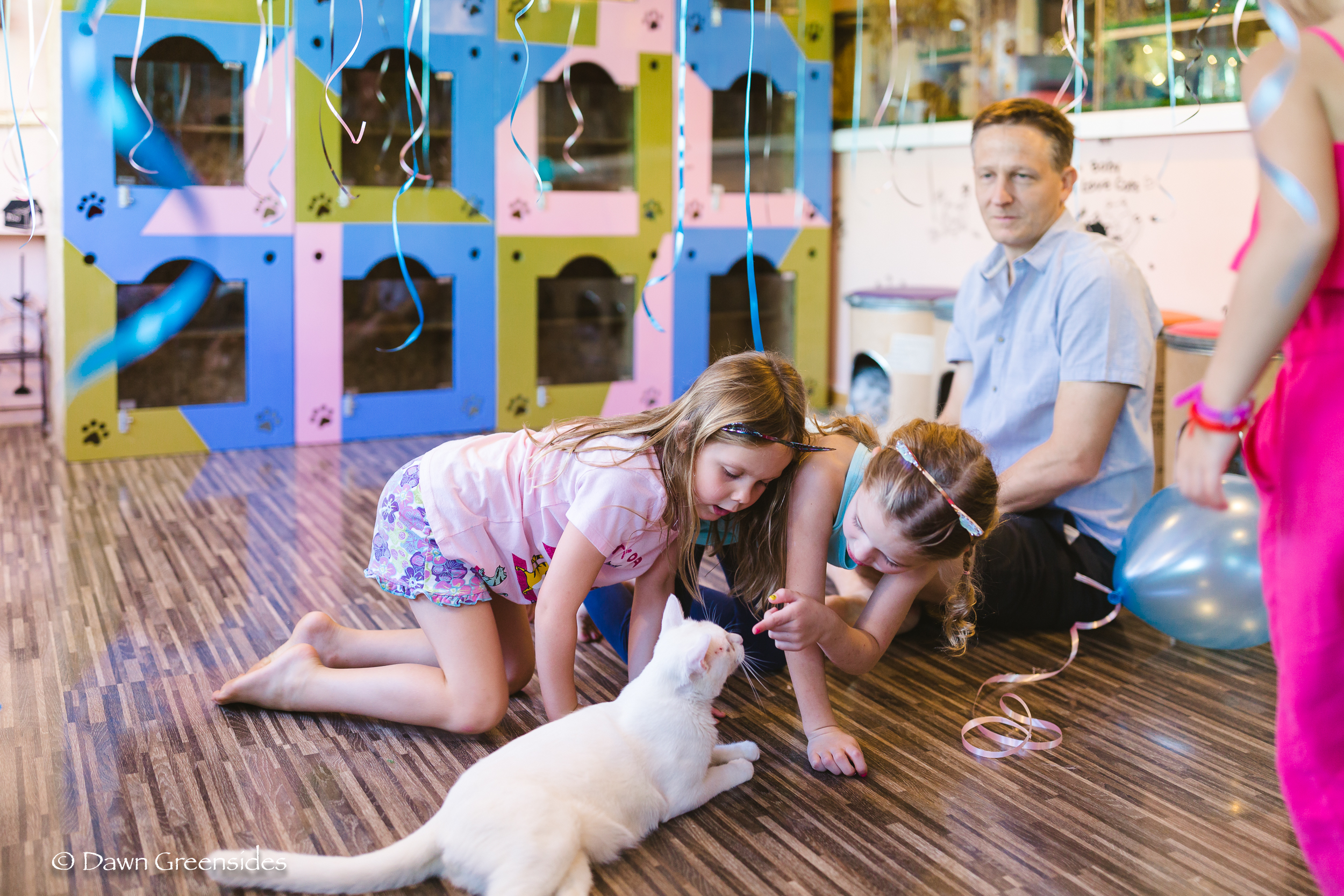 Piper turned six this year and had a joint birthday party with her friend Diella at the cat cafe!