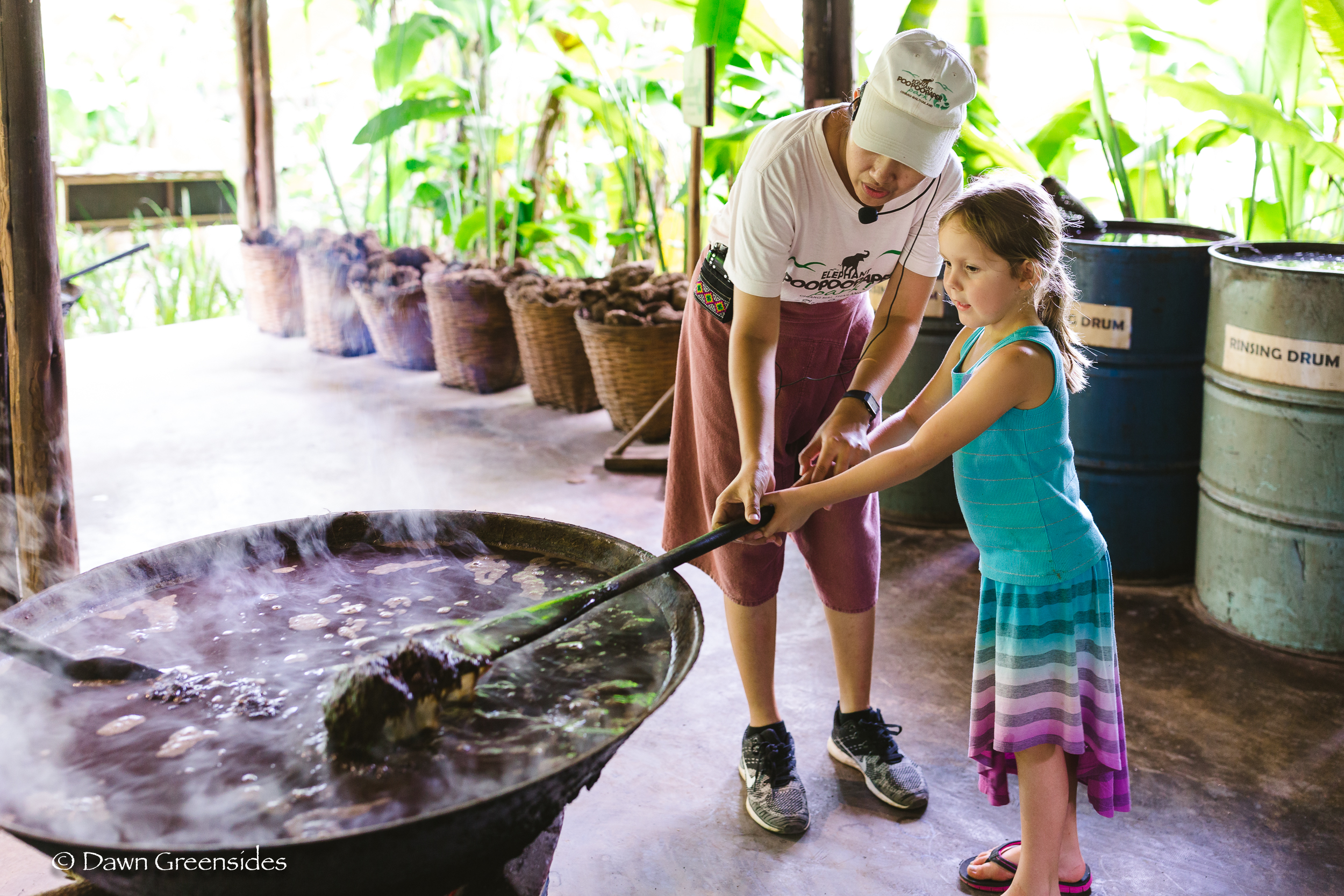 Not quite and autumn harvest, but in September we went to Chang Mai , Thailand and “harvested” some elephant poop to make paper!