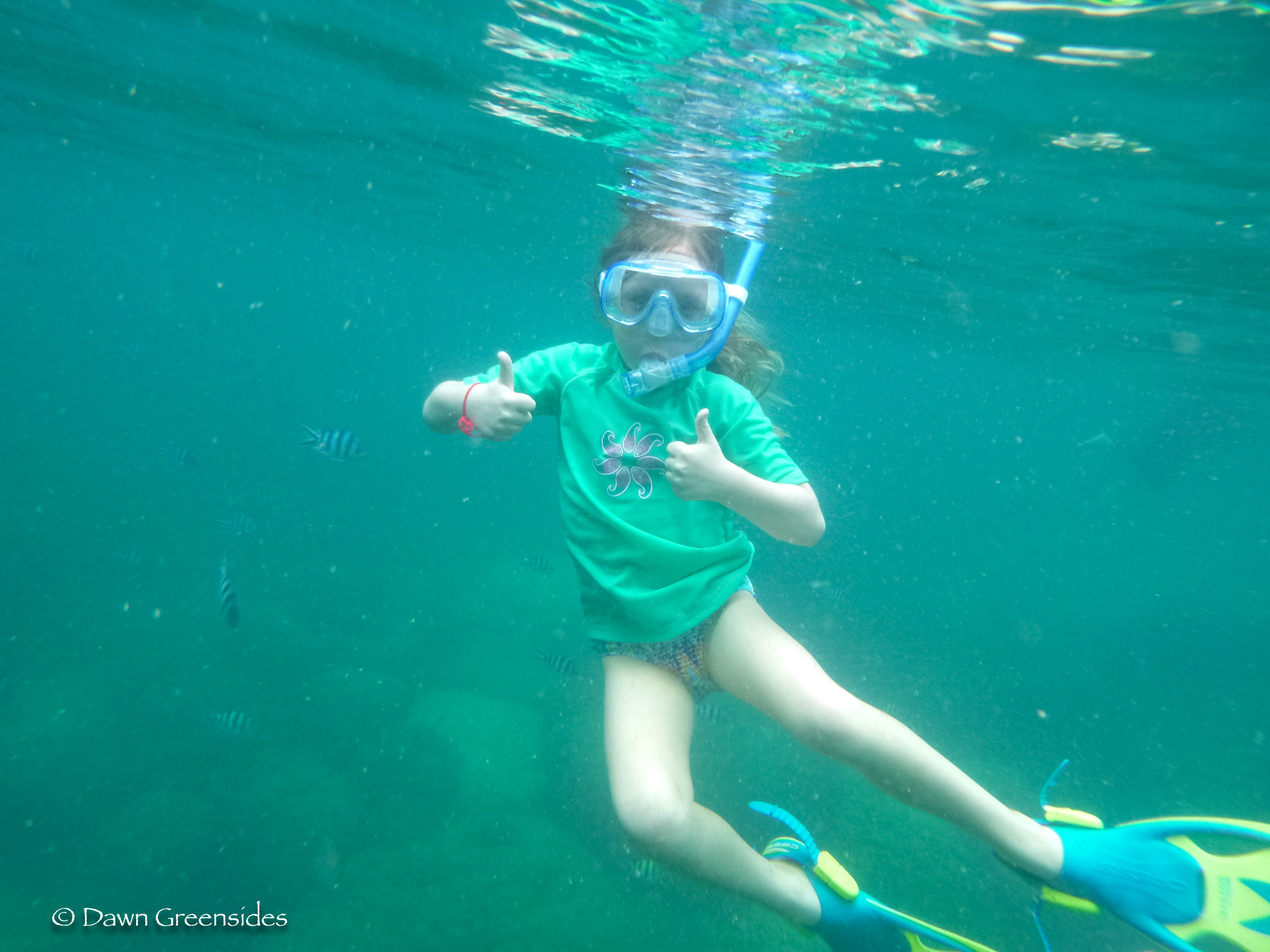 Snorkeling-1.jpg