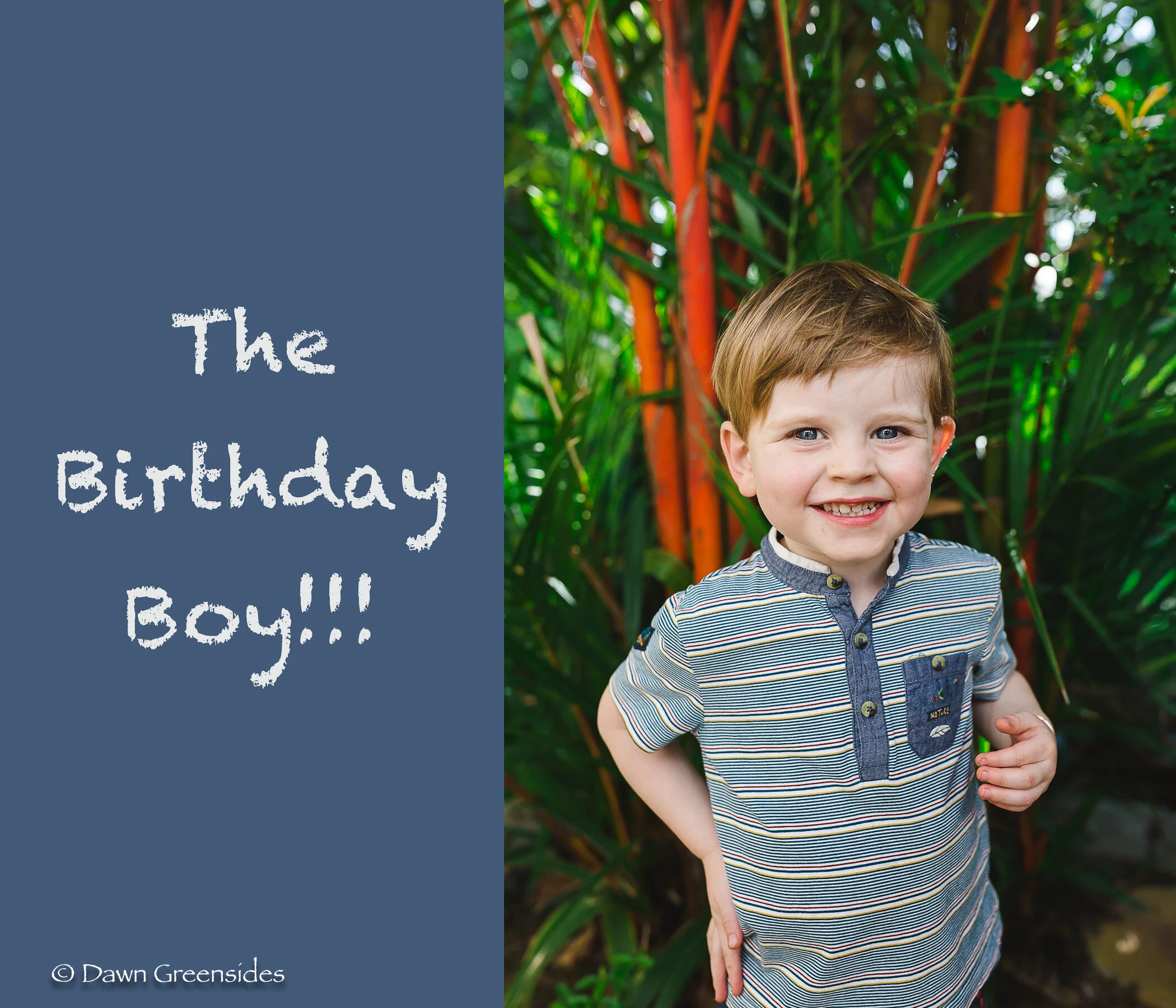 Birthday Boy.jpg
