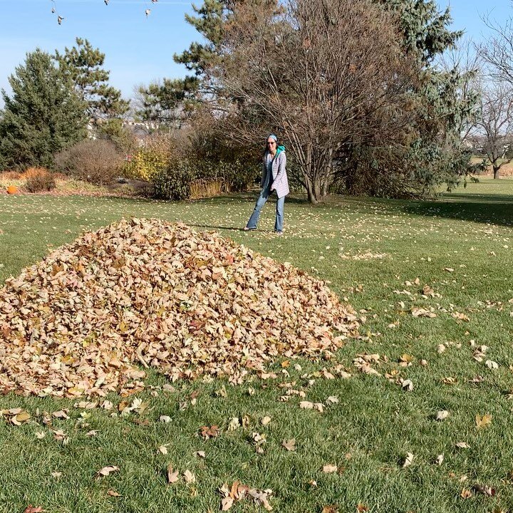 Todays lesson: A leaf pile is not like jumping on a feather bed.