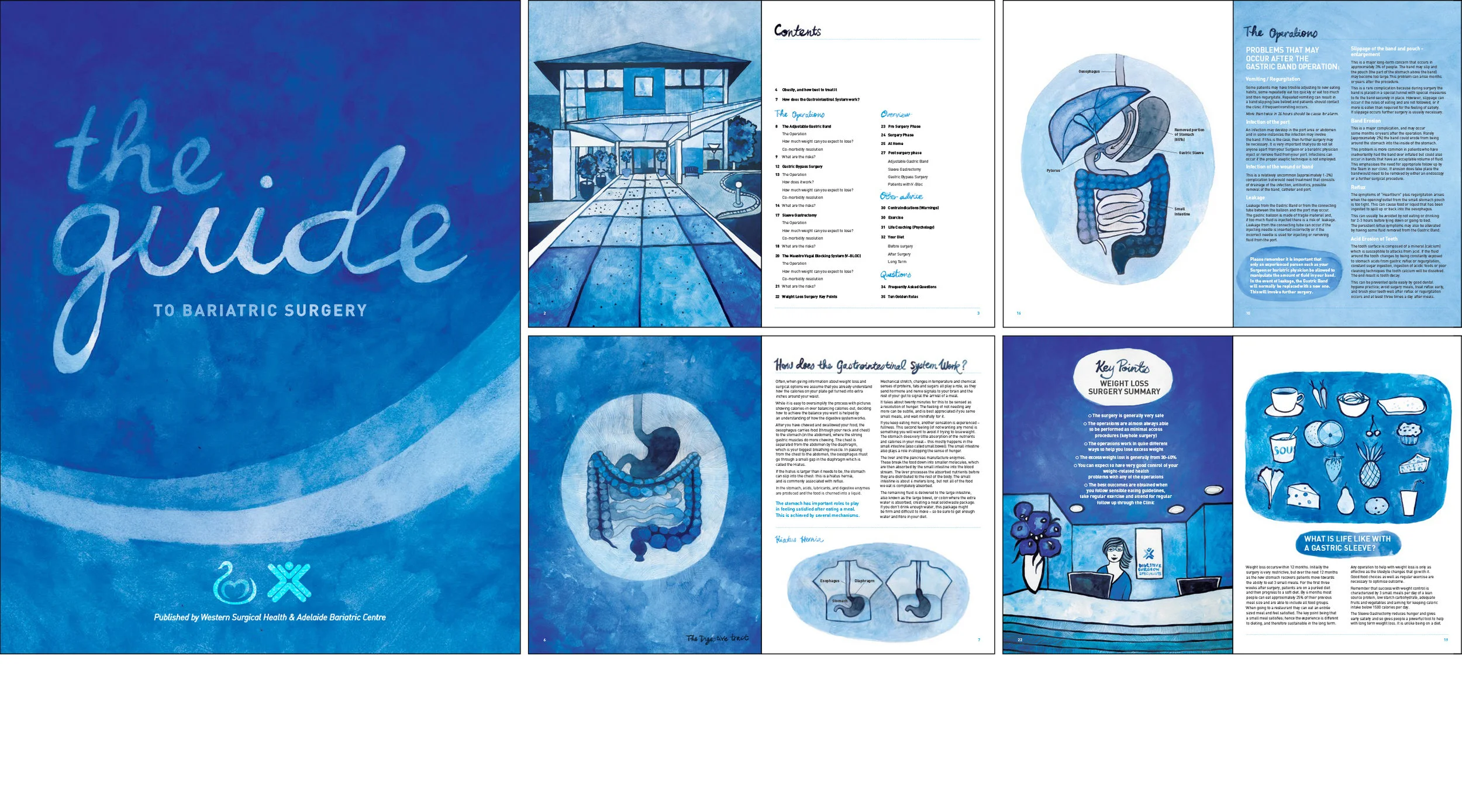 WESTERN HEALTH SURGERY GUIDE | Heidi Green: Art Direction, Illustration