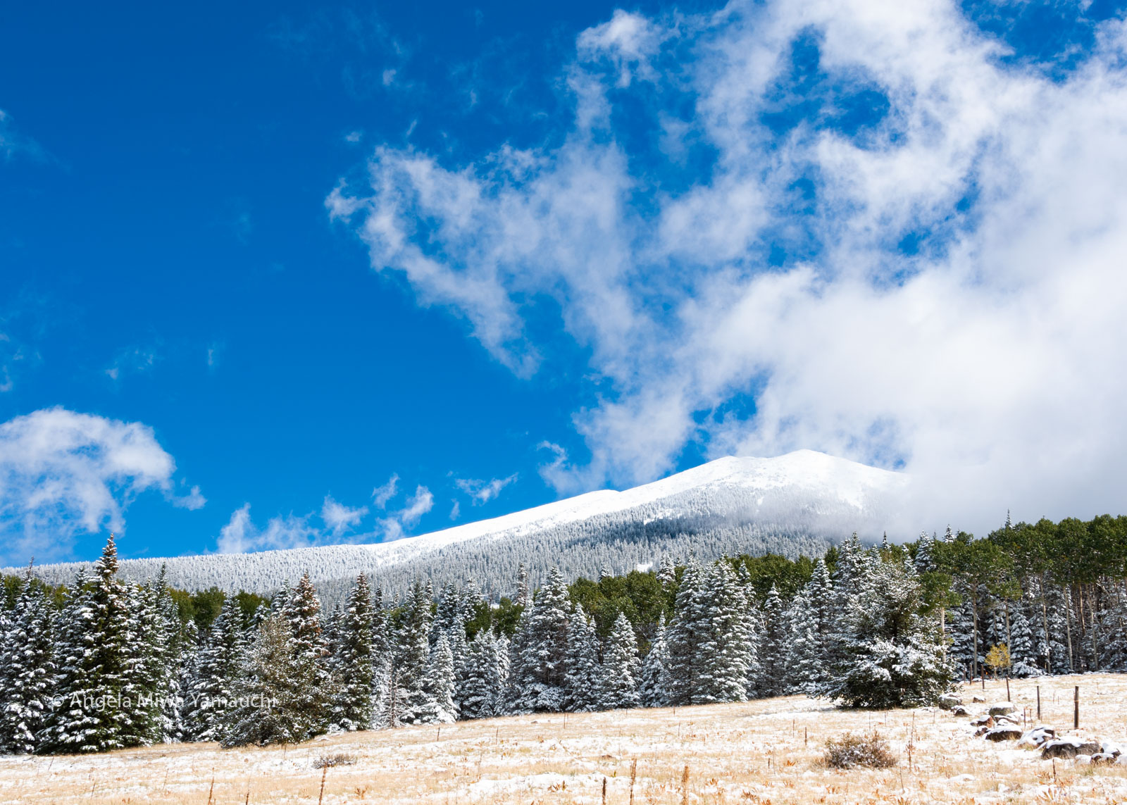 Humphreys Peak, Clearing Snowstorm