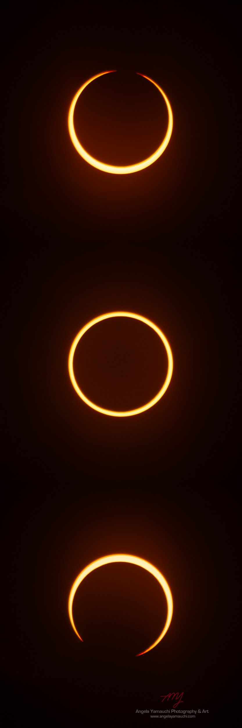 Ring of Fire Eclipse Triptych, 2023